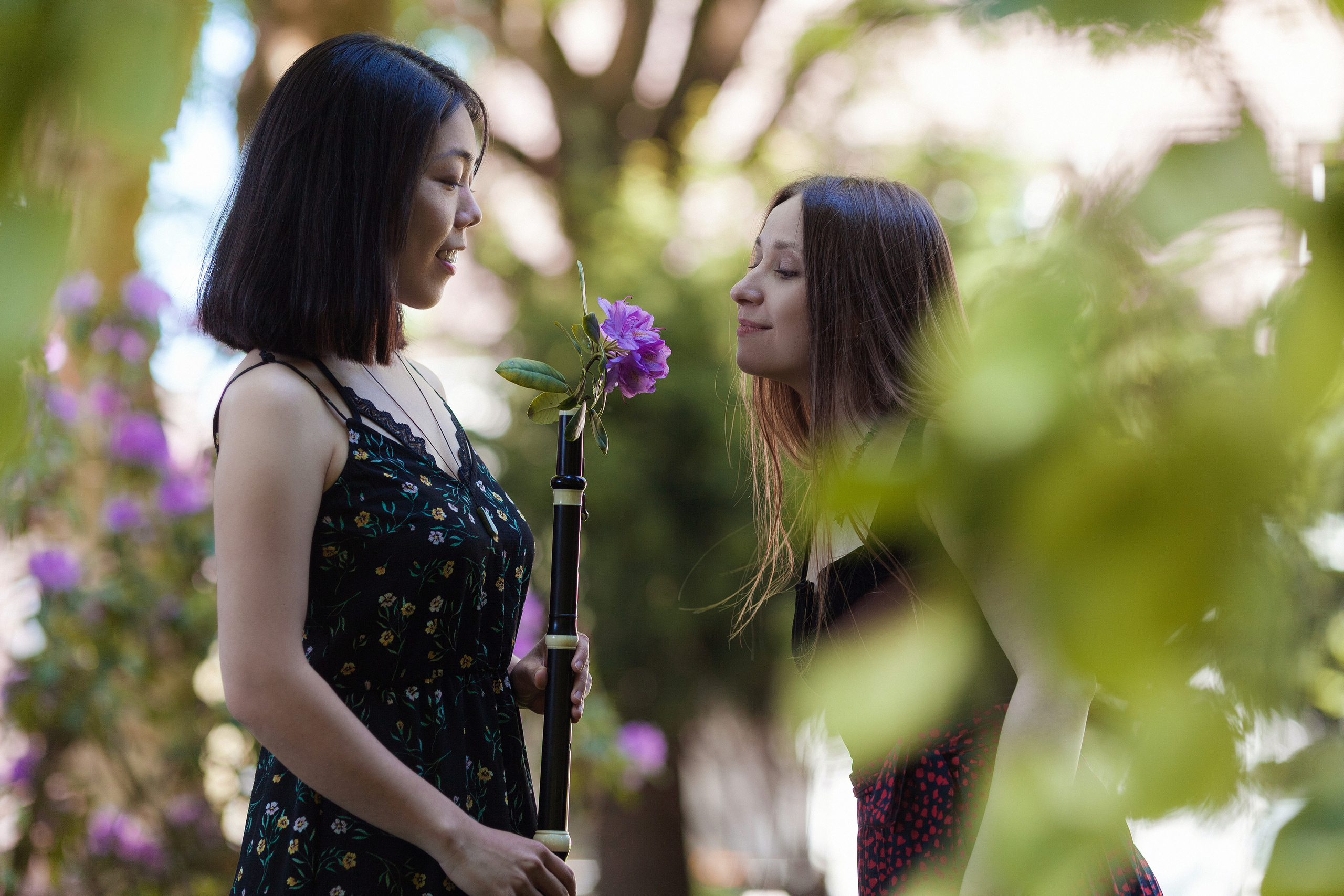 Duo Barokbird. Portrait