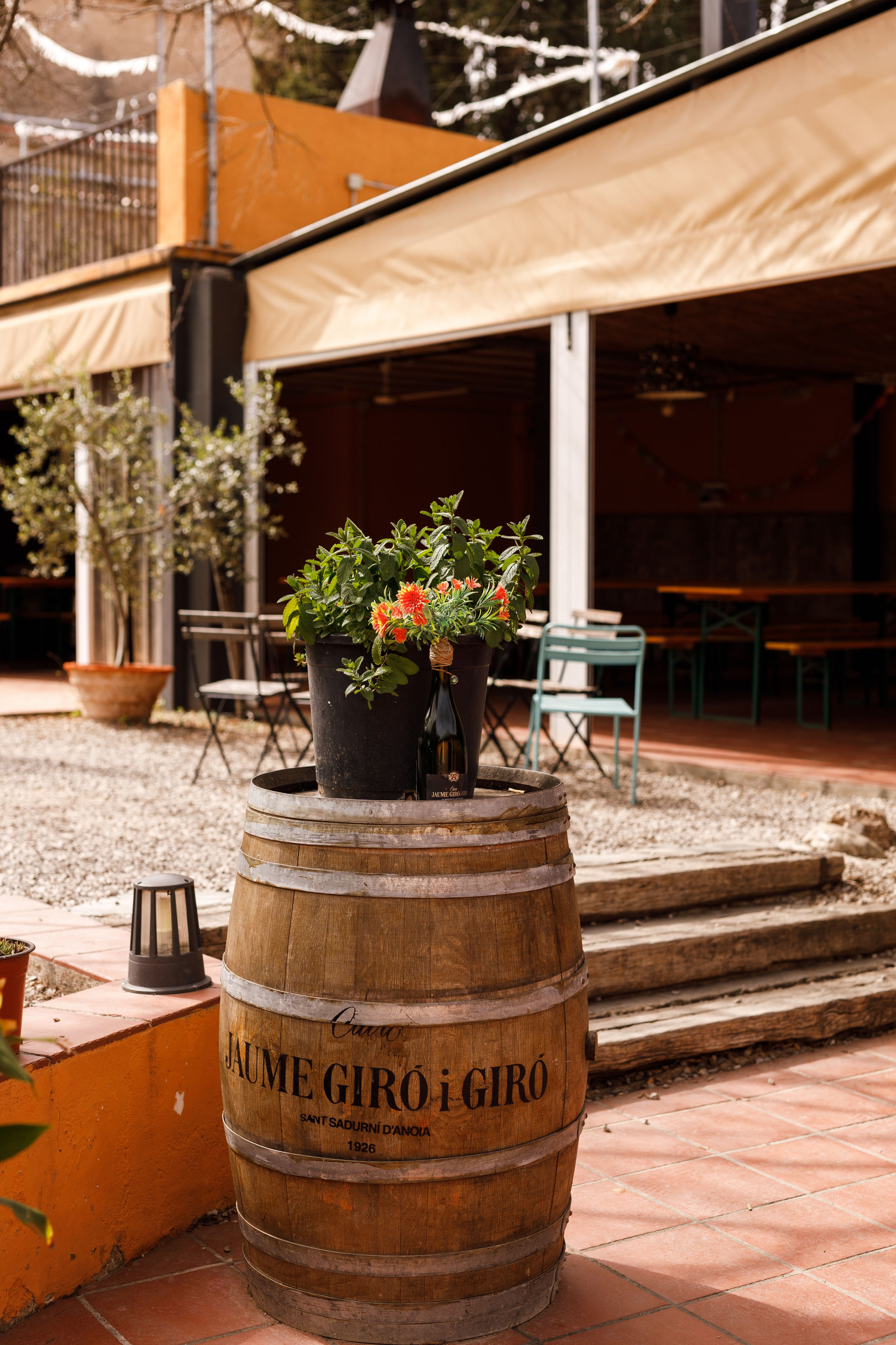 Comentarios. Fotógrafo en Barcelona  Maslik Yulia