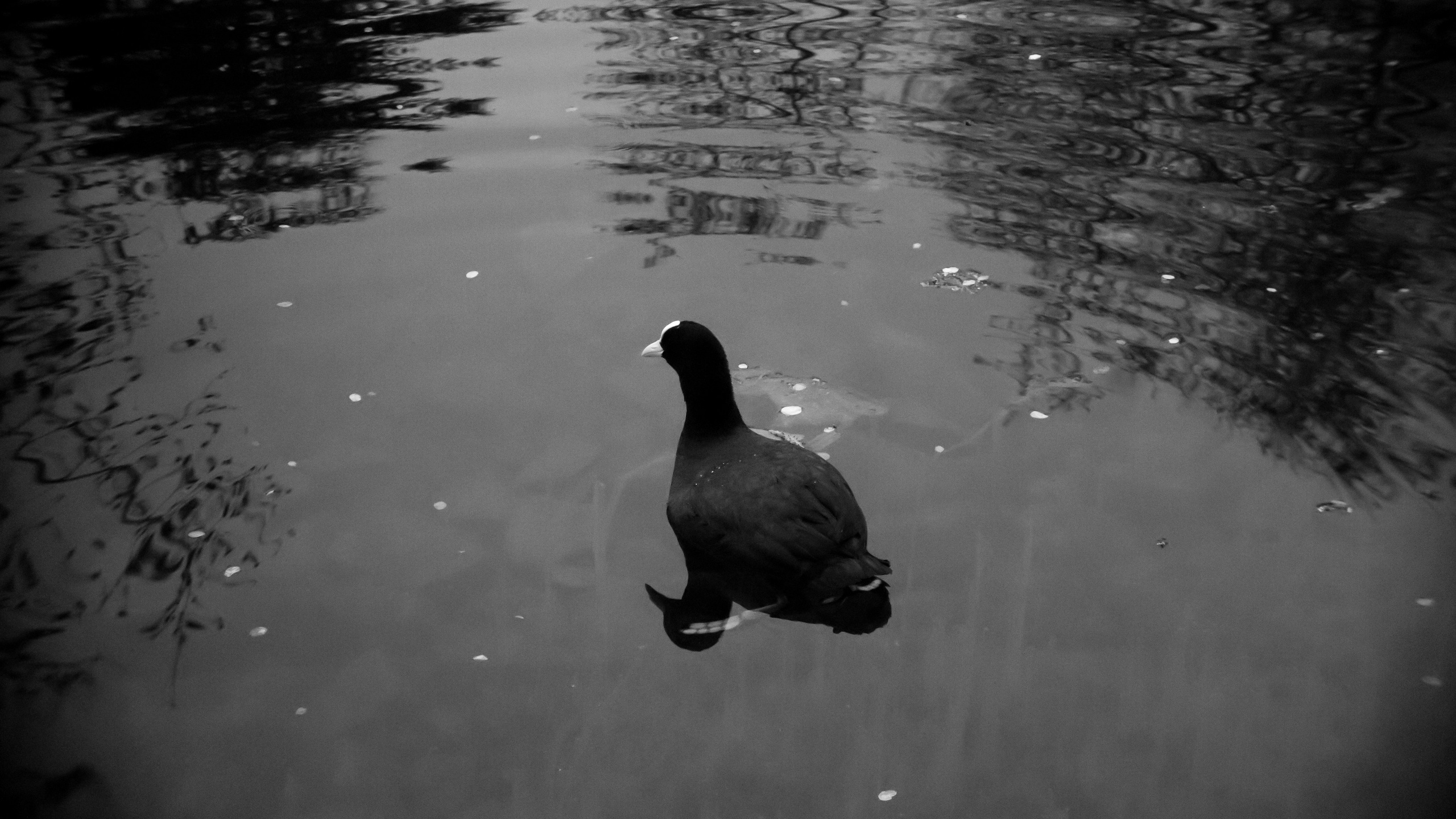 Essen, Papenburg, Germany korte film. Éclat Fotos. Exclusieve portretfotografieservice