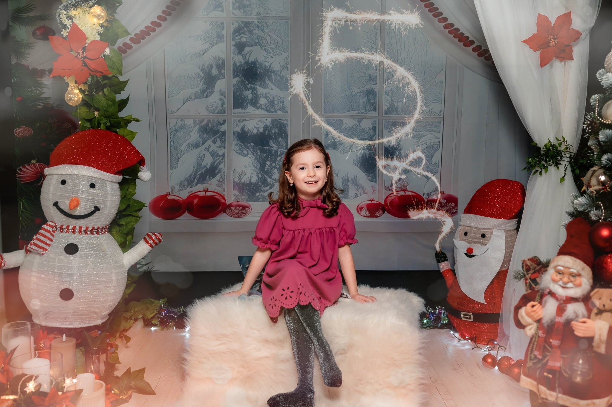 Sedinta Craciun Nicoleta