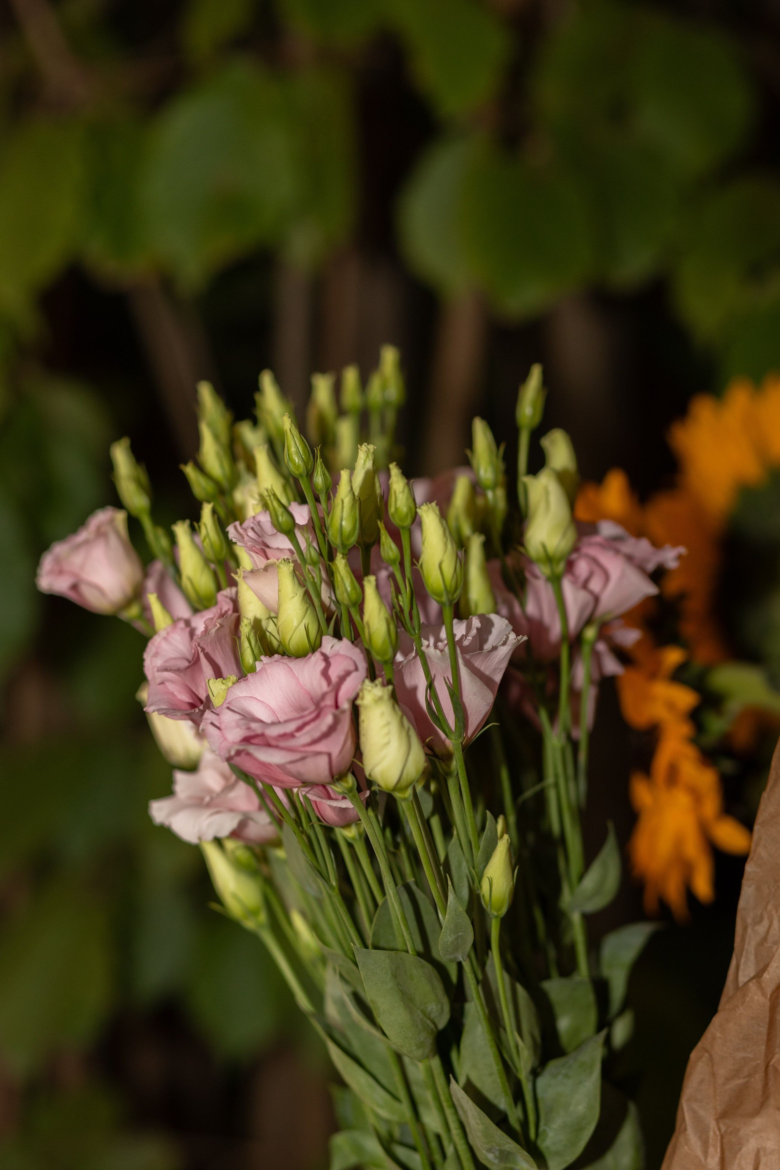 Наталья 04.08.2025. Семейный и детский фотограф в Варшаве Мила Бобровская