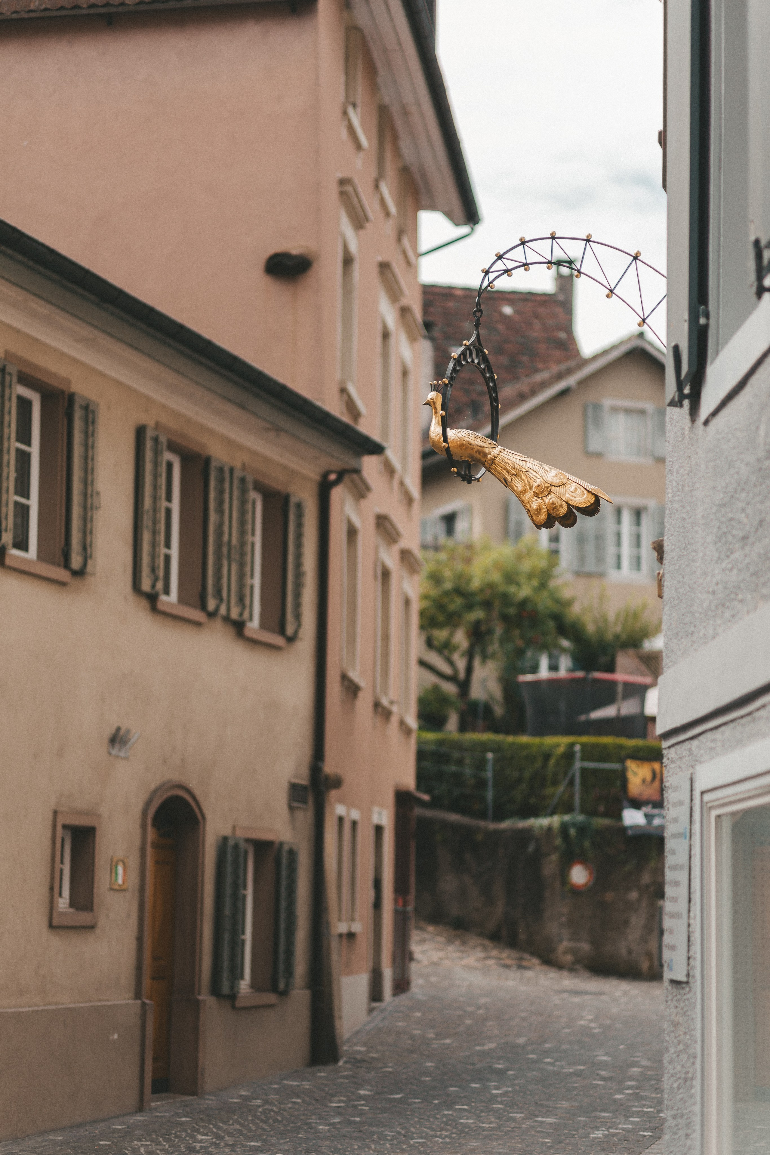 Laufenburg. Maria Chistyakovа — Fotografin in Karlsruhe, Baden-Baden und Umgebung
