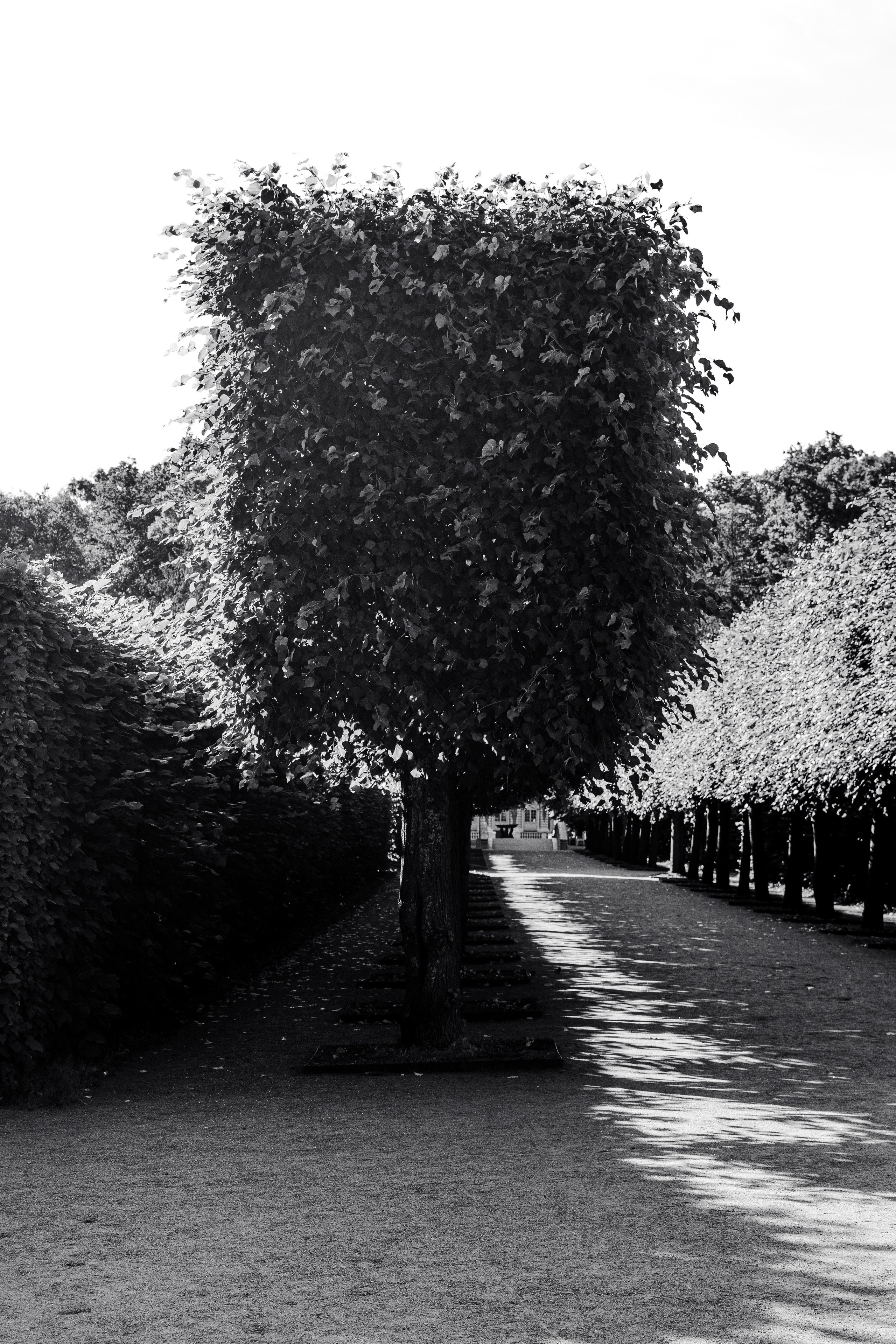 St Petersburg. Fotografinja in videografinja Mariia Bortiakova iz Slovenije: fotografiranje dogodkov, portretov in snemanje videov po vsej Sloveniji