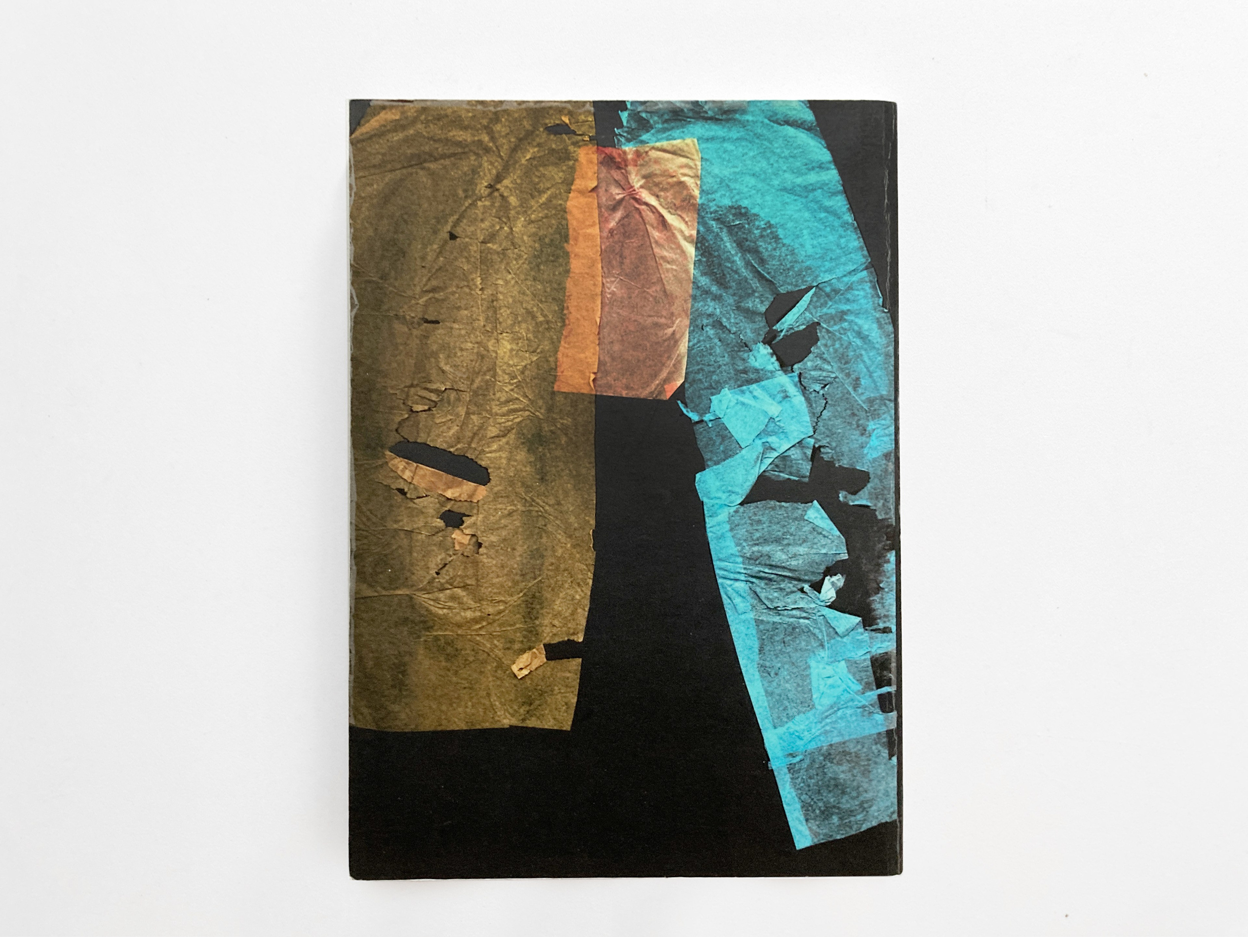 Fly in Amber. Sveta Kaverina