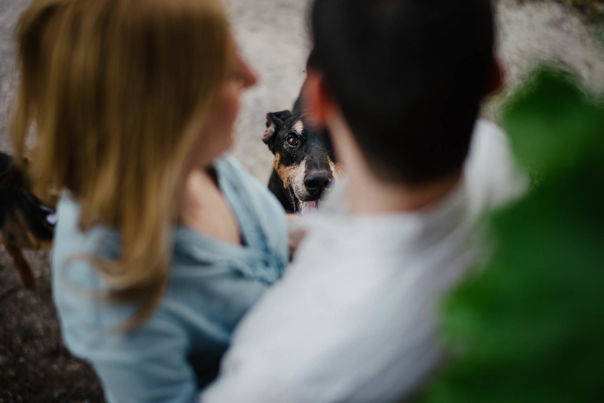 F+G| Servizio per-matrimoniale a Isola della Scala