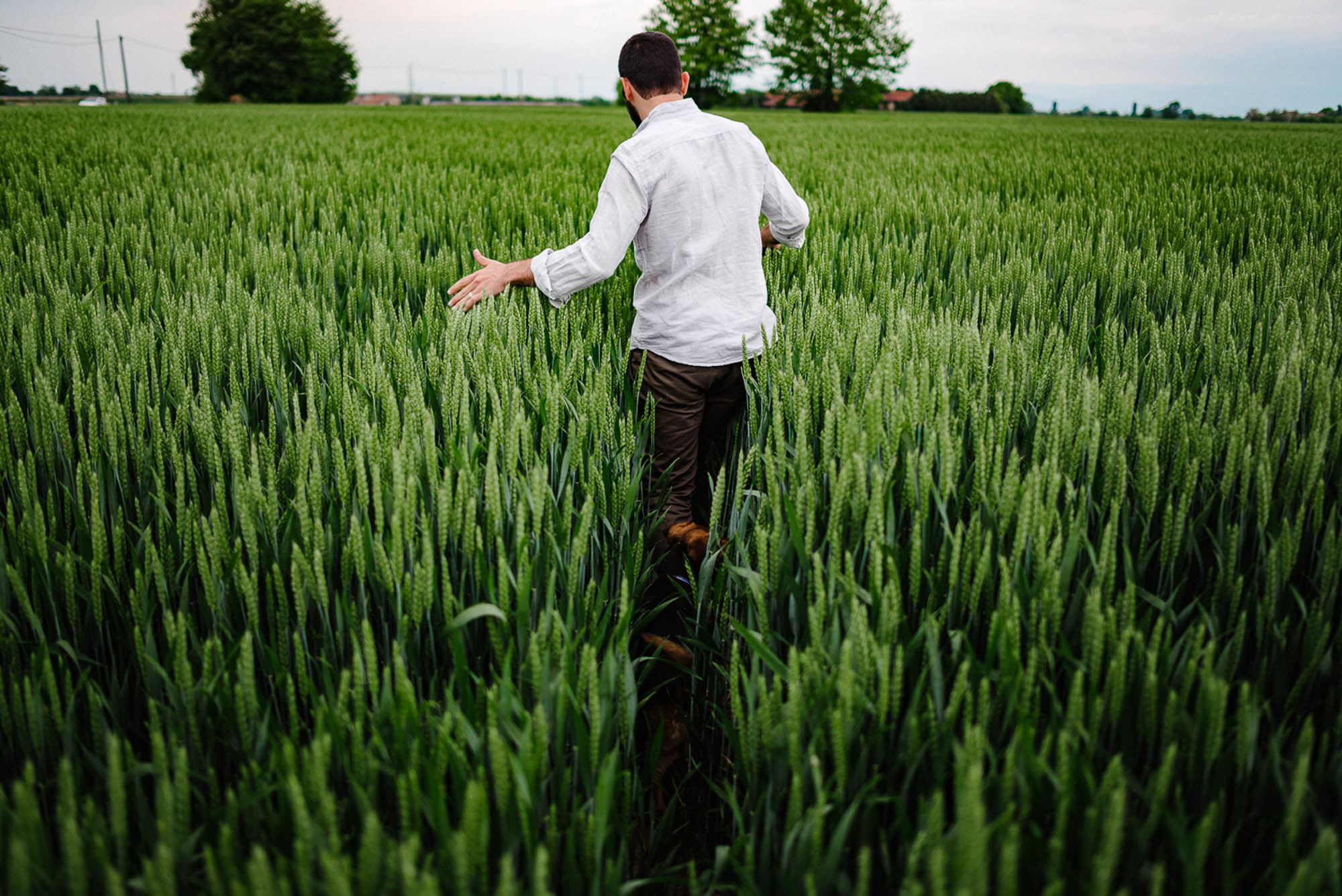 F+G| Servizio per-matrimoniale a Isola della Scala