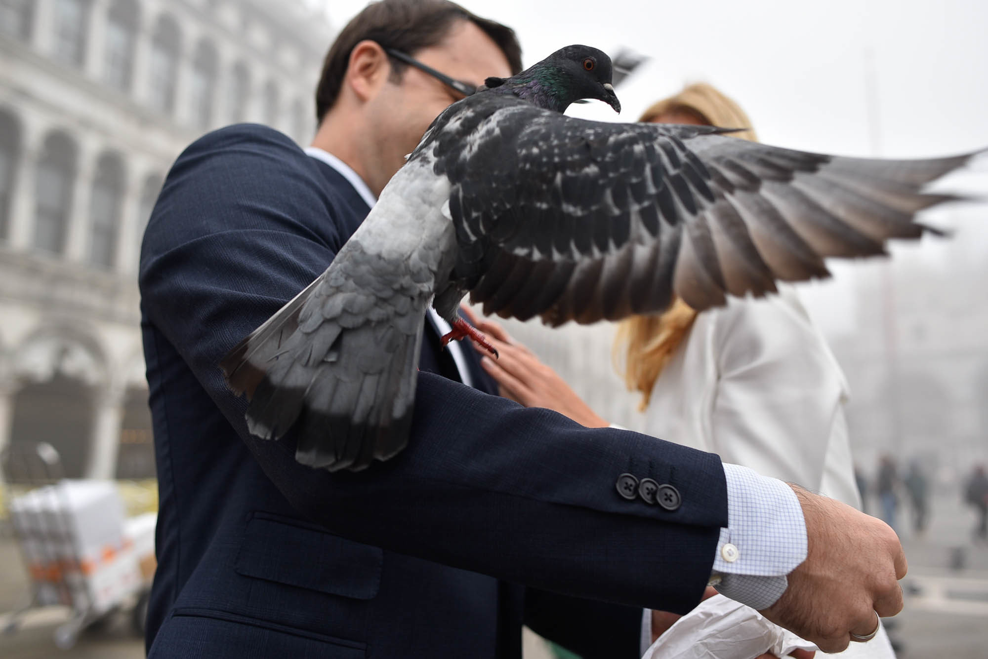 K+N|Honemoon photo shoot in the gog in Venice