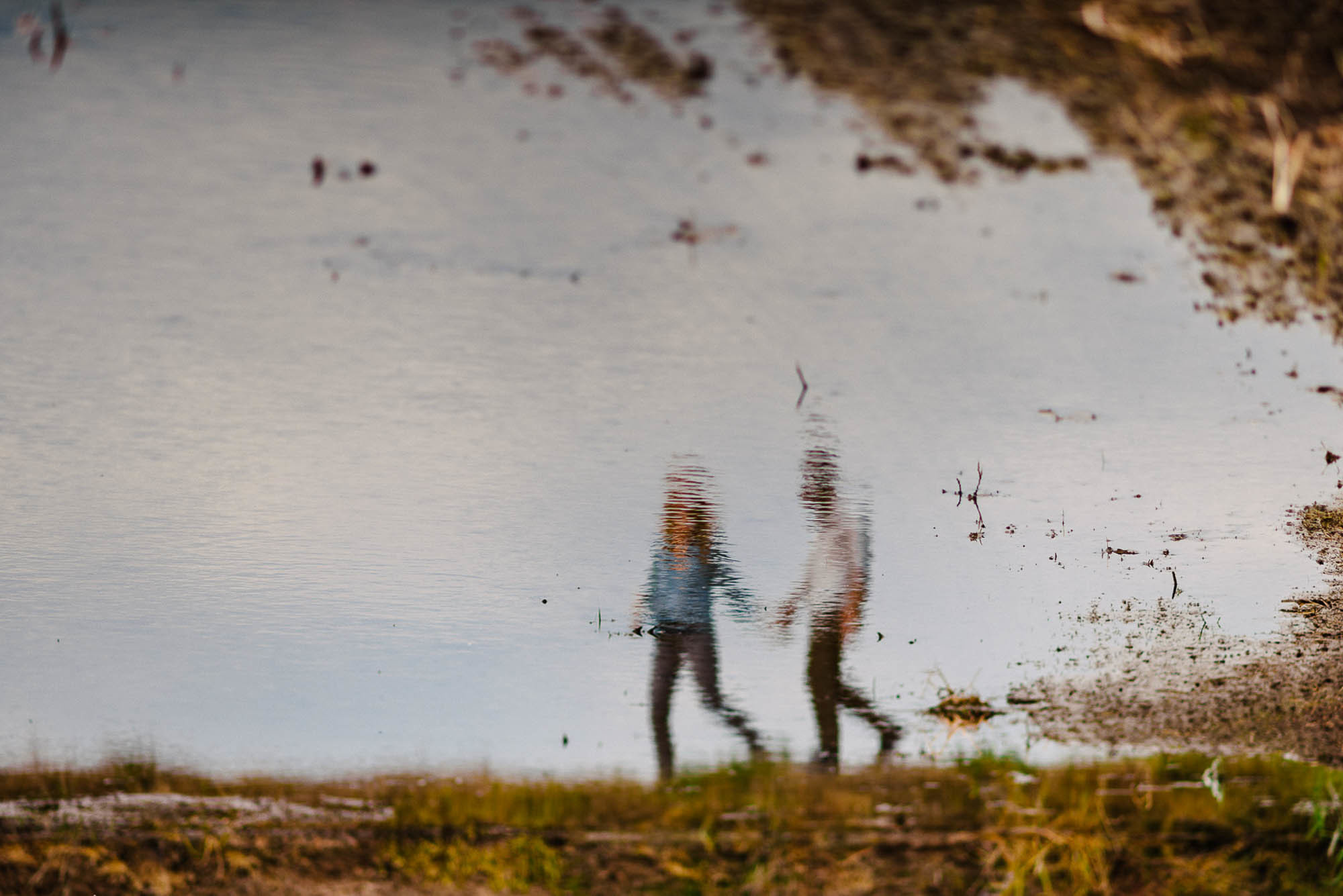 F+G| Servizio per-matrimoniale a Isola della Scala