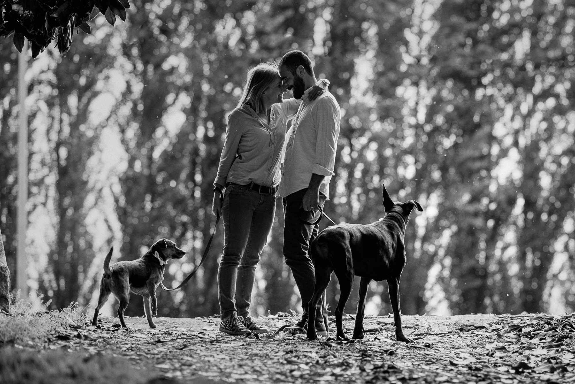 F+G| Servizio per-matrimoniale a Isola della Scala