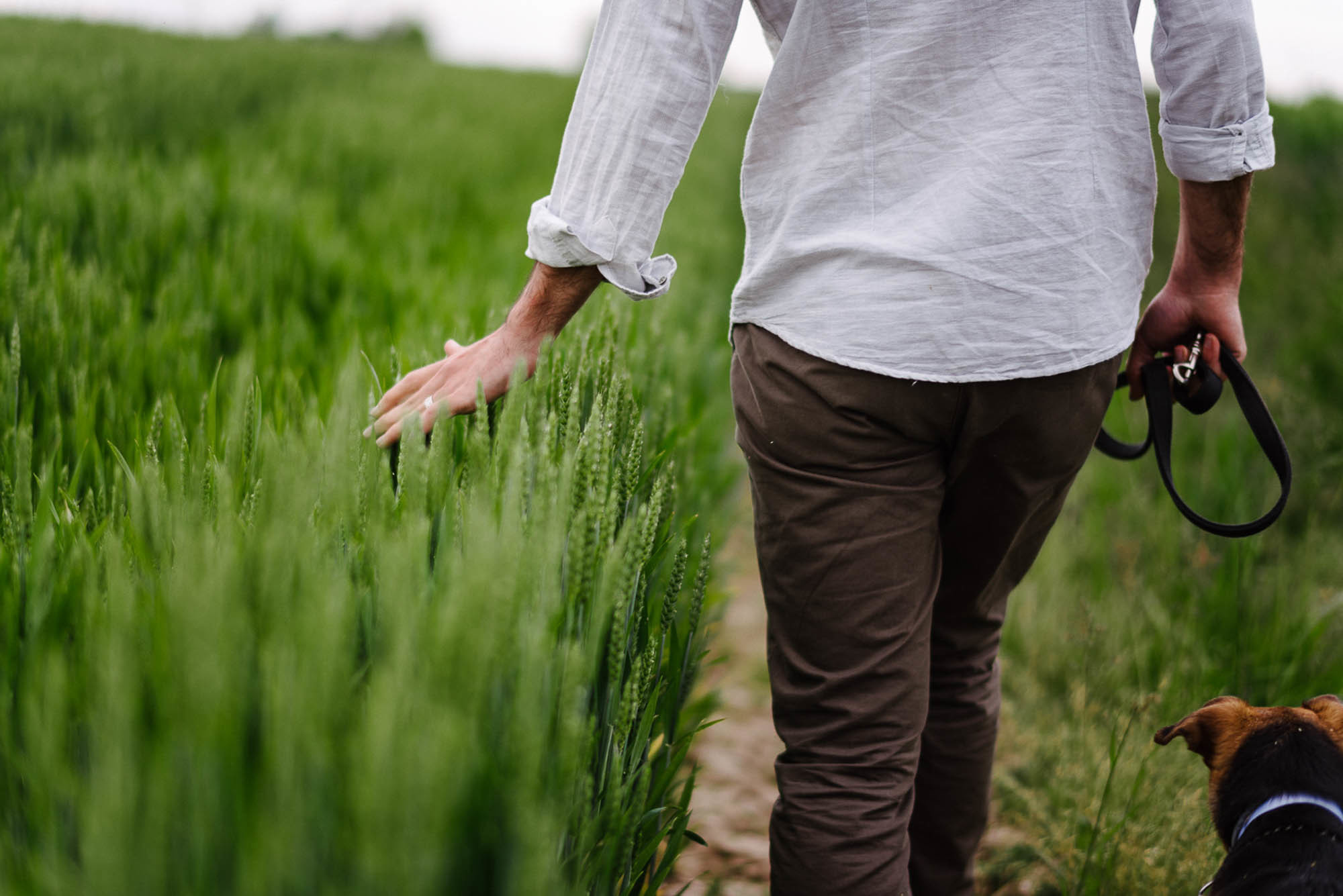 F+G| Servizio per-matrimoniale a Isola della Scala