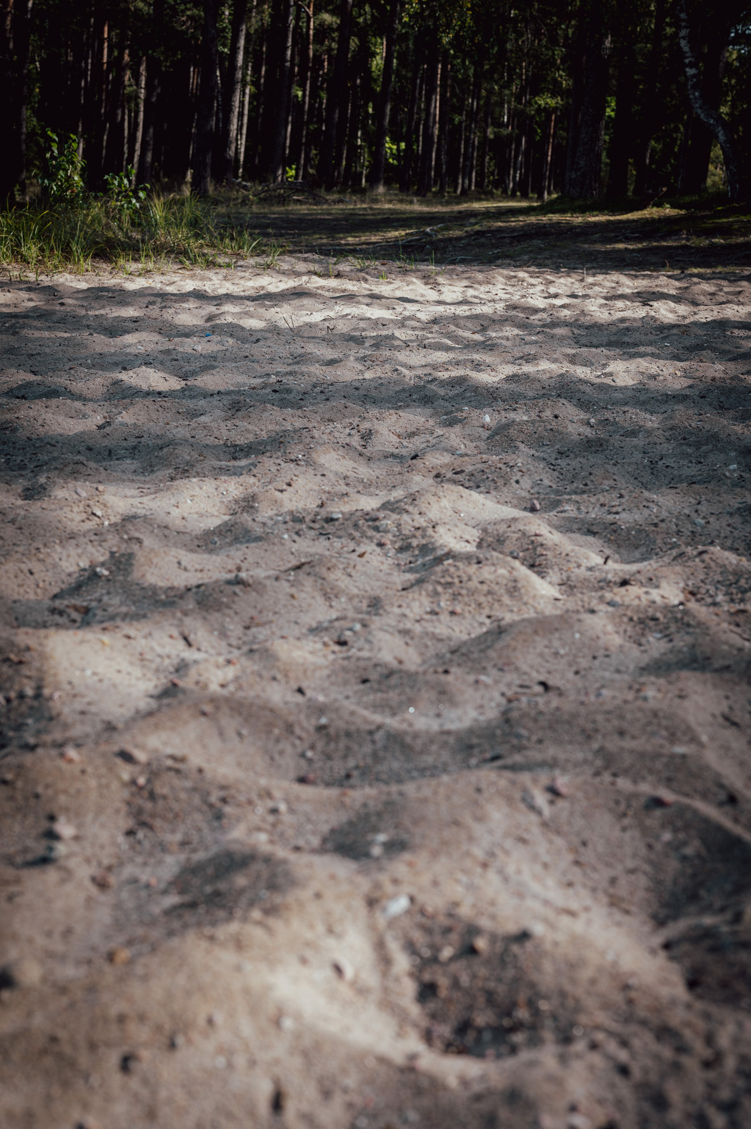 Мероприятия. Фотограф Сергей Трифонов