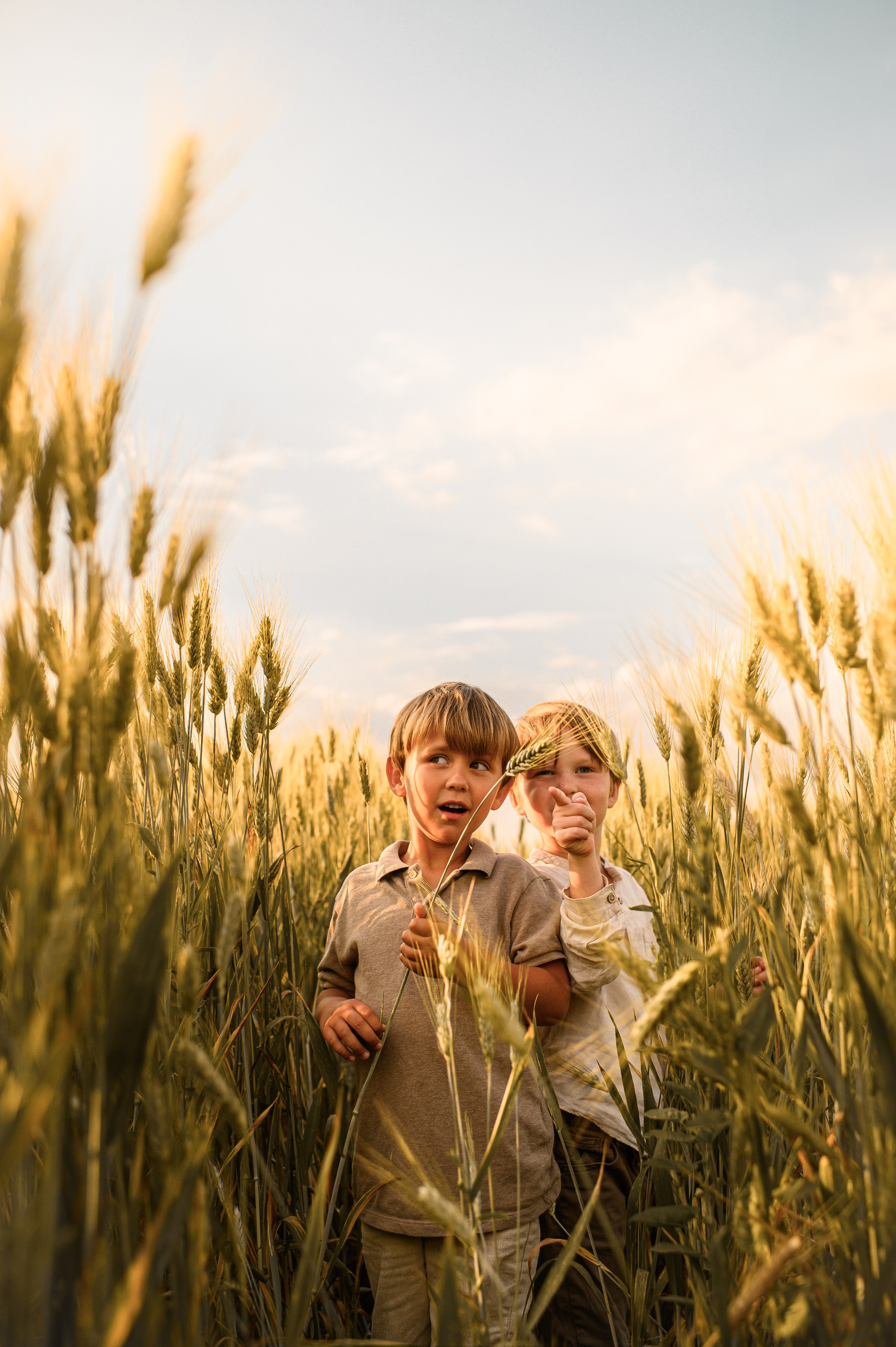 Wheat fields. Family, children, portrait, and event photography in Thessaloniki