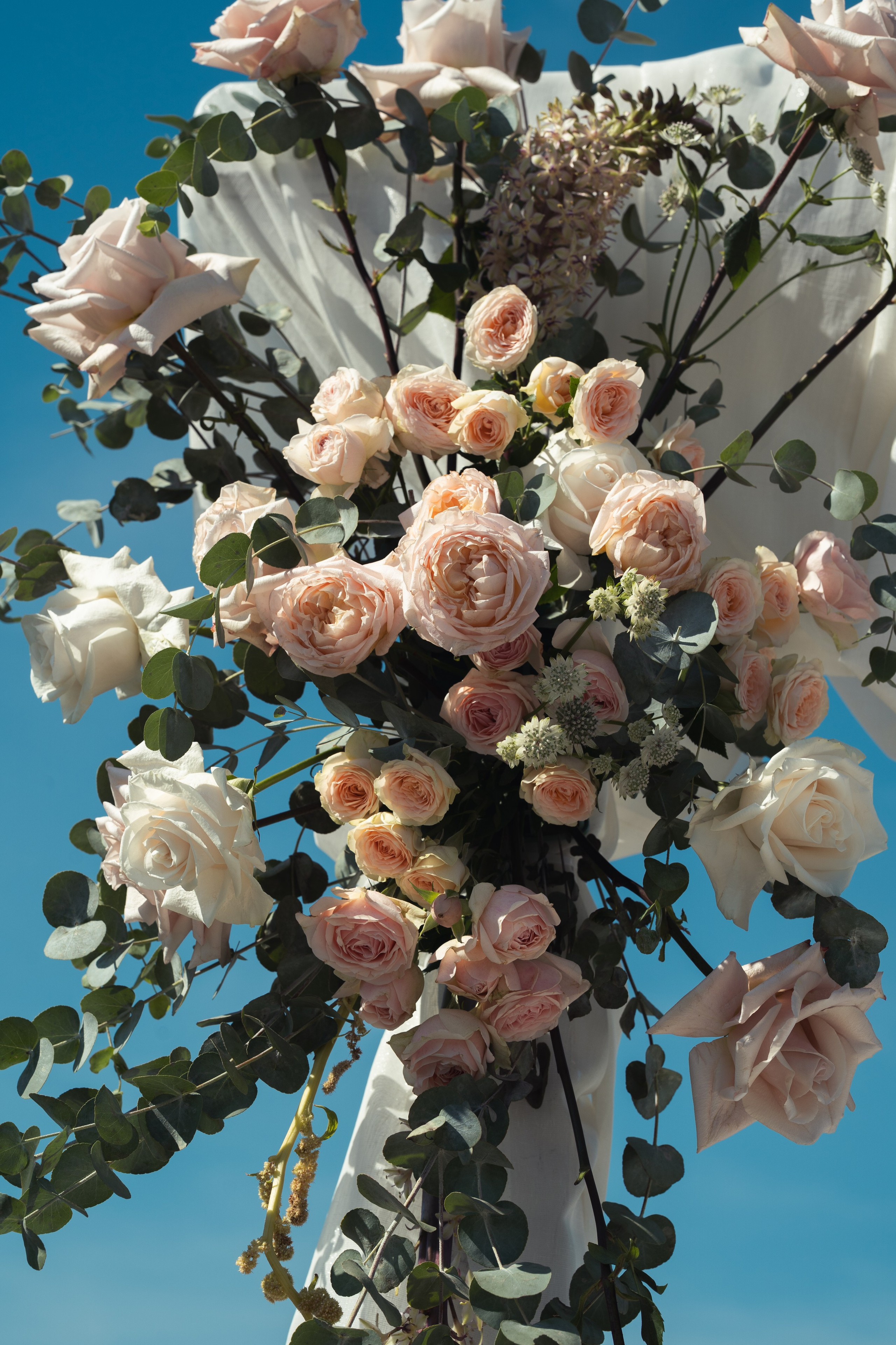 Cununie civilă - Ruxandra și Cezar