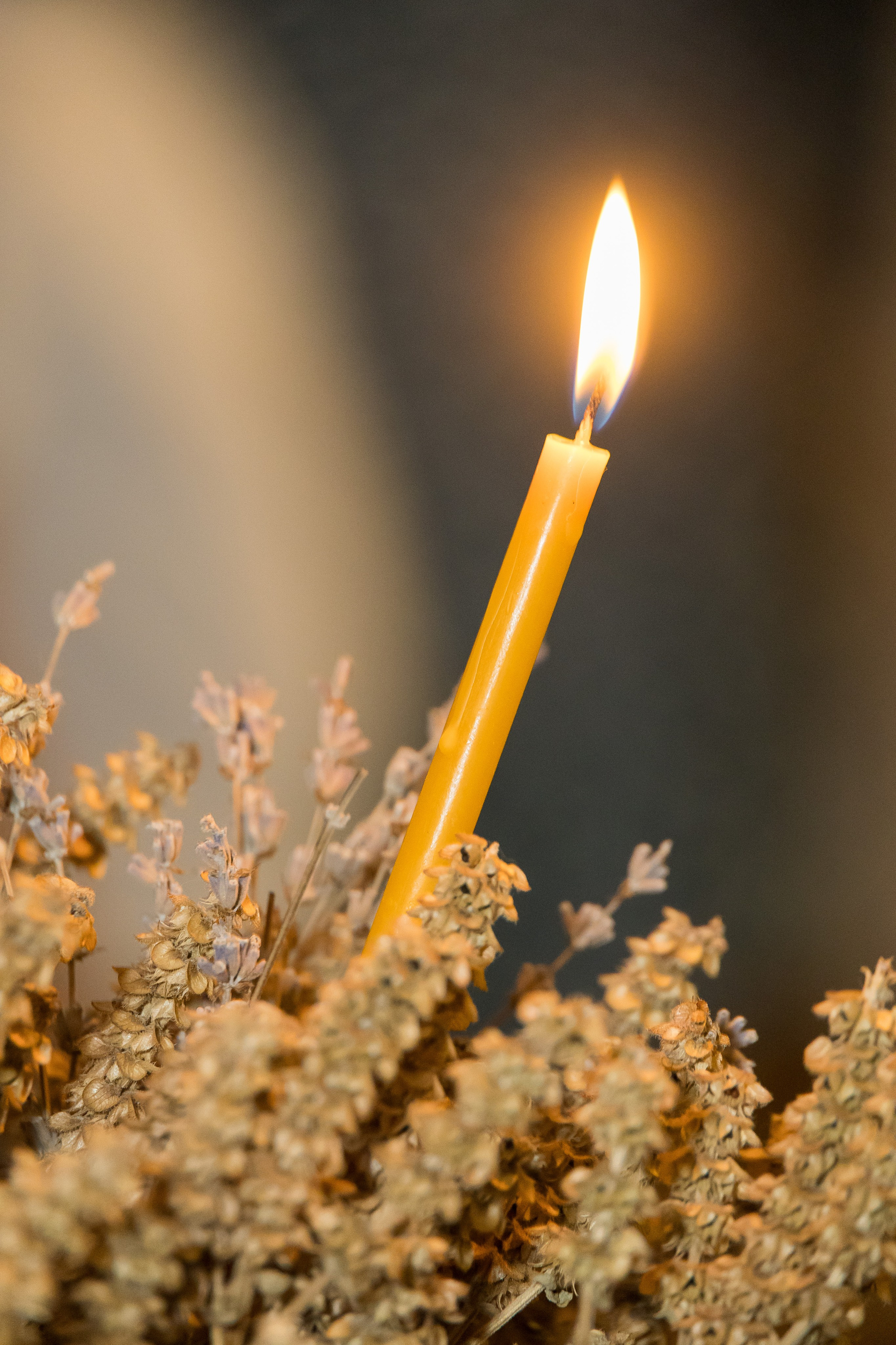 Lya - Foto si video de botez si cumatrie. ✔️ Servicii foto si video in Chisinau Moldova - Cinematic.md