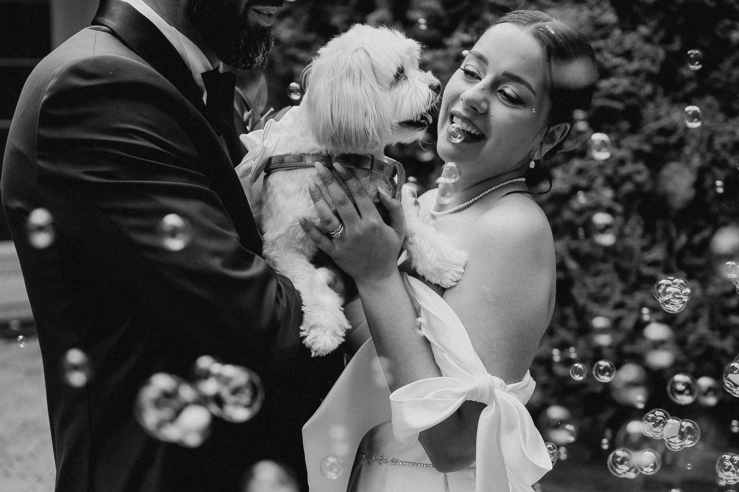 Andreea & Constantin. Ionutdraganfoto.com