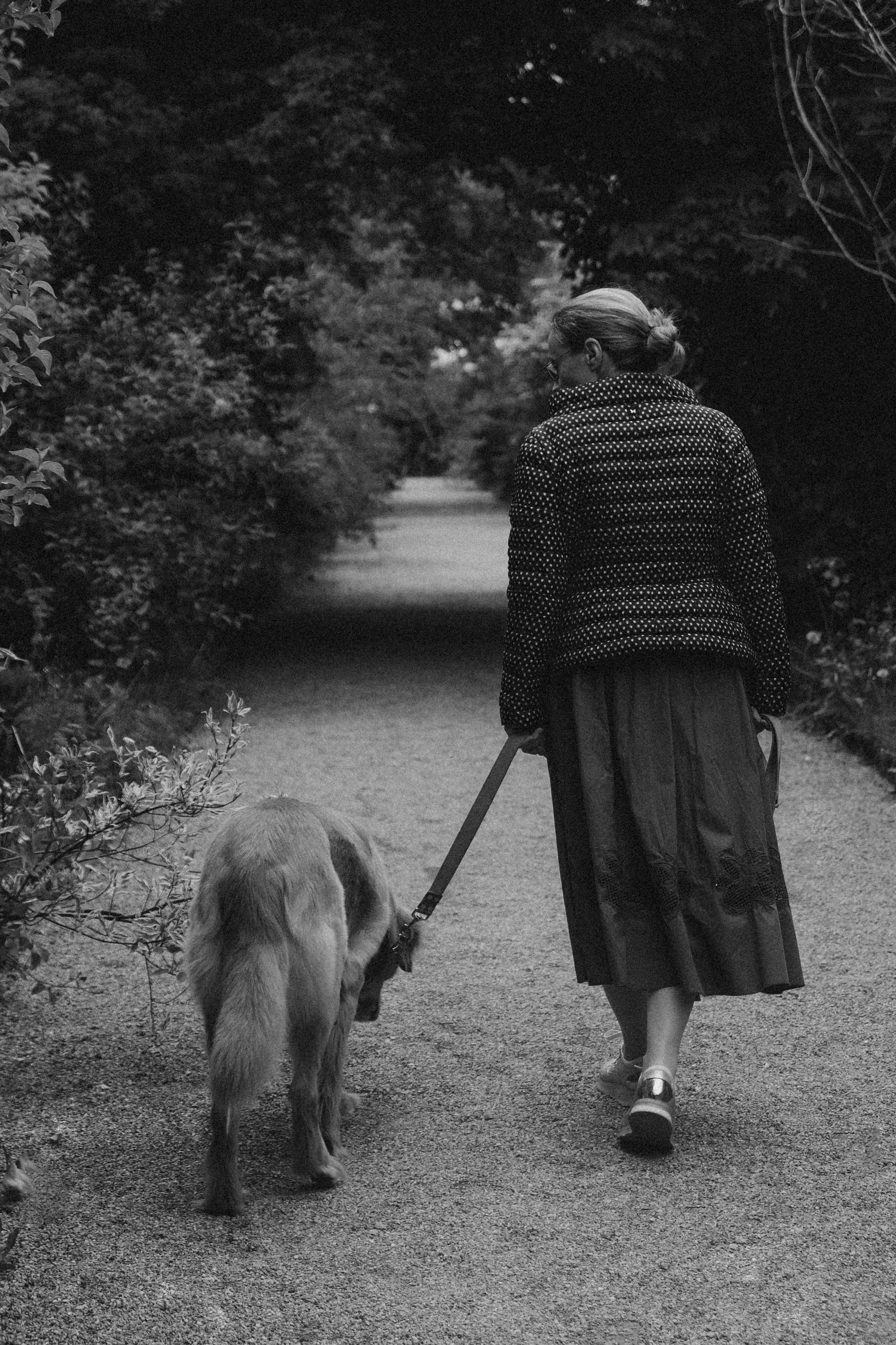 Three generations & one tail. Фотографы Минск и мир