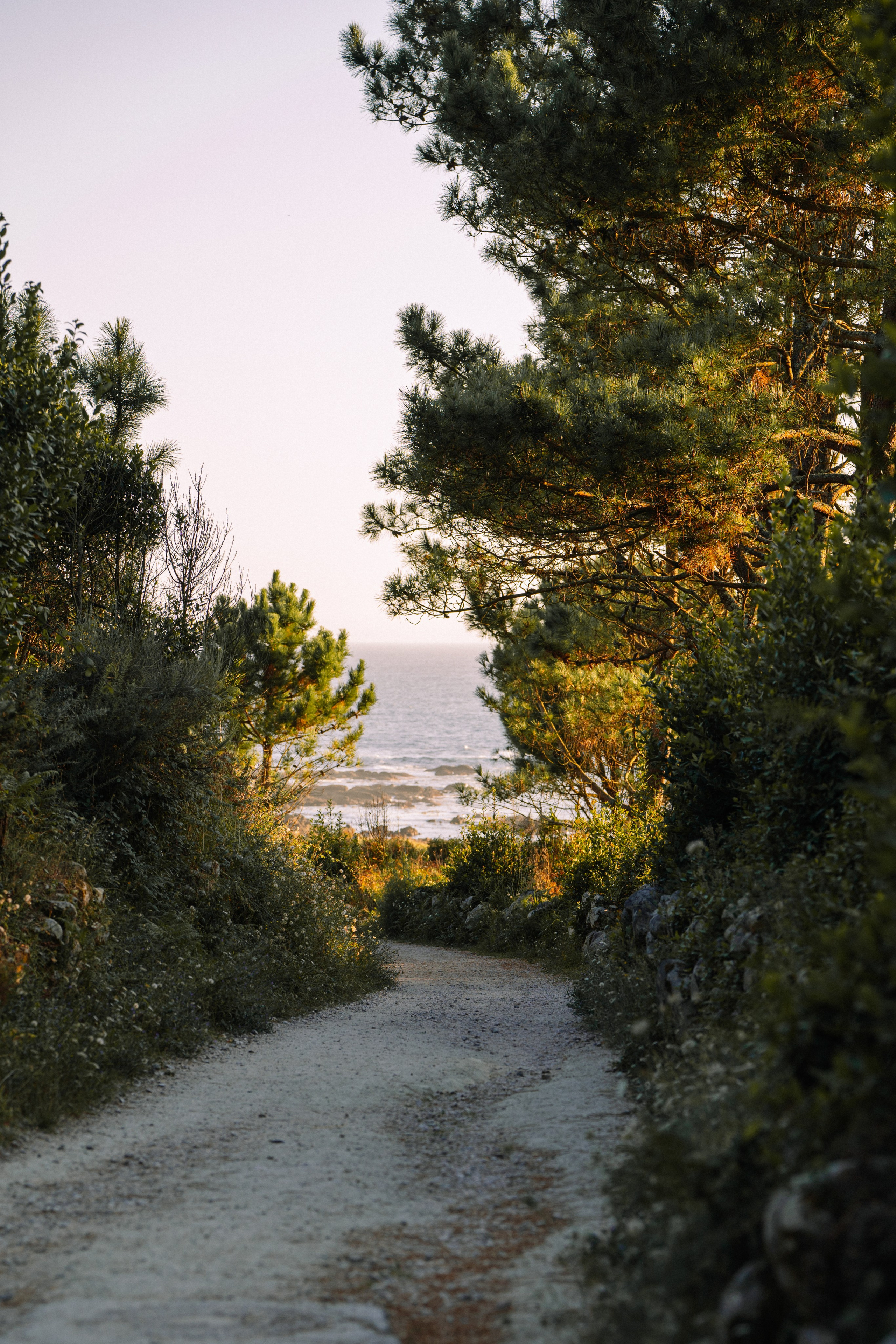 Creative Inspiration for Photographers & Artists. Photos of Galicia. Photographer in Madrid, Spain. Alyona Belyaninova