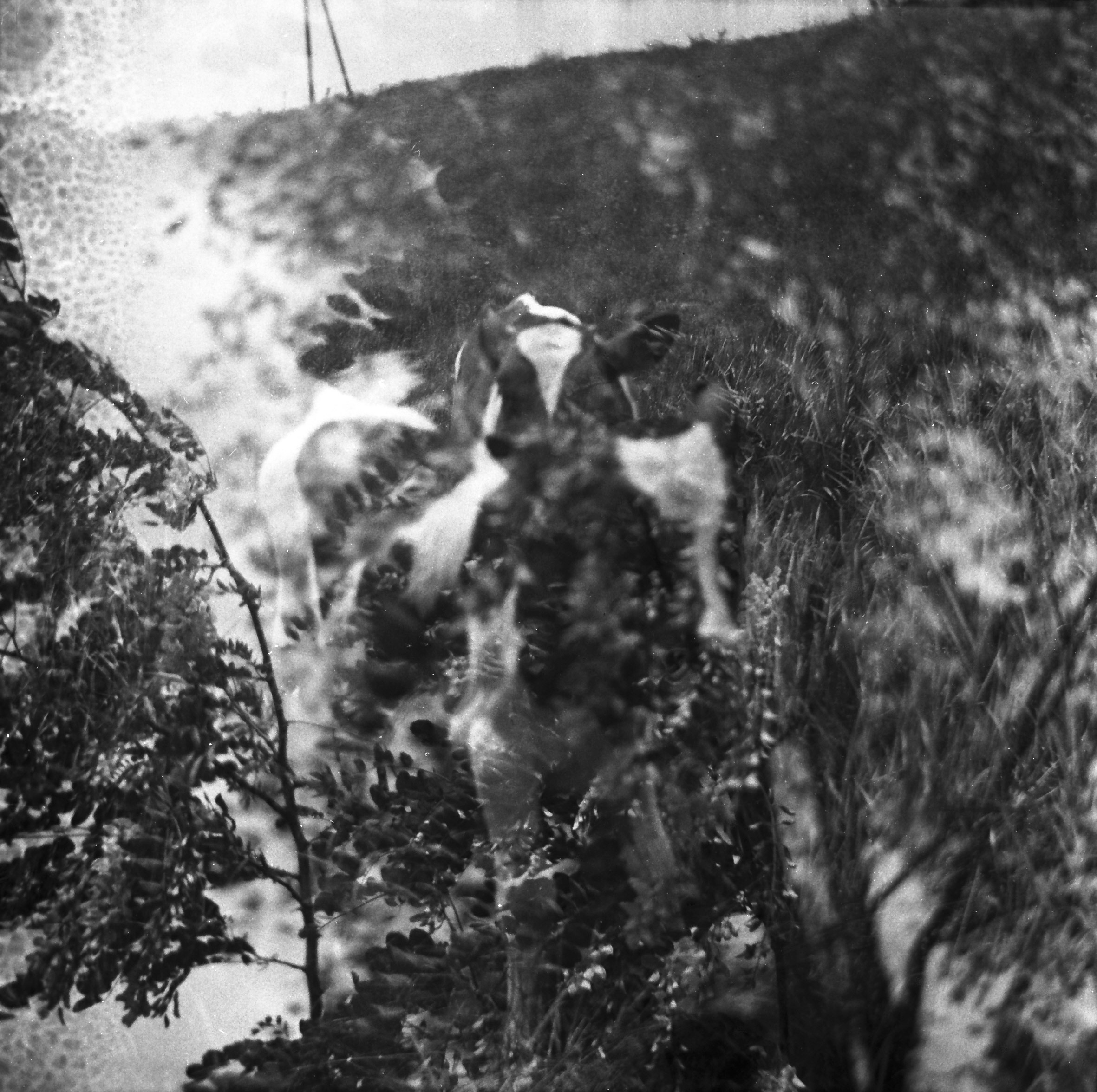 Tender Infinite Souls. Natalia Parfenova visual artist film photographer