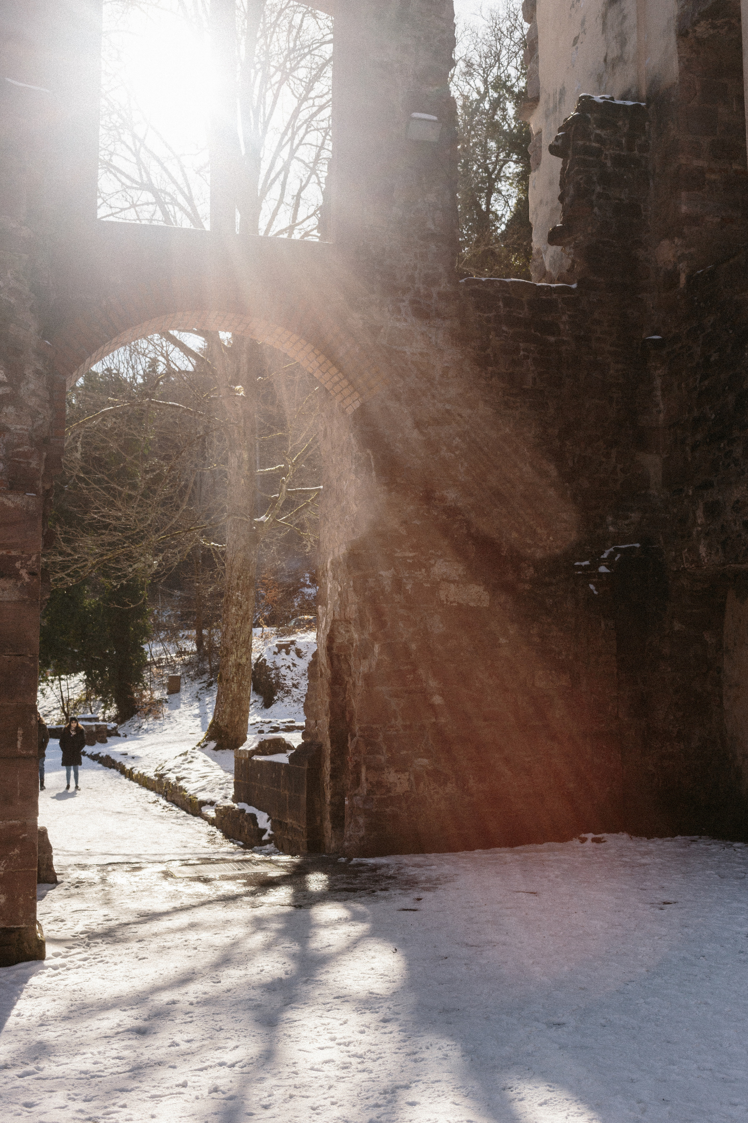 Klosterruine Frauenalb. Maria Chistyakovа — Fotografin in Karlsruhe, Baden-Baden und Umgebung
