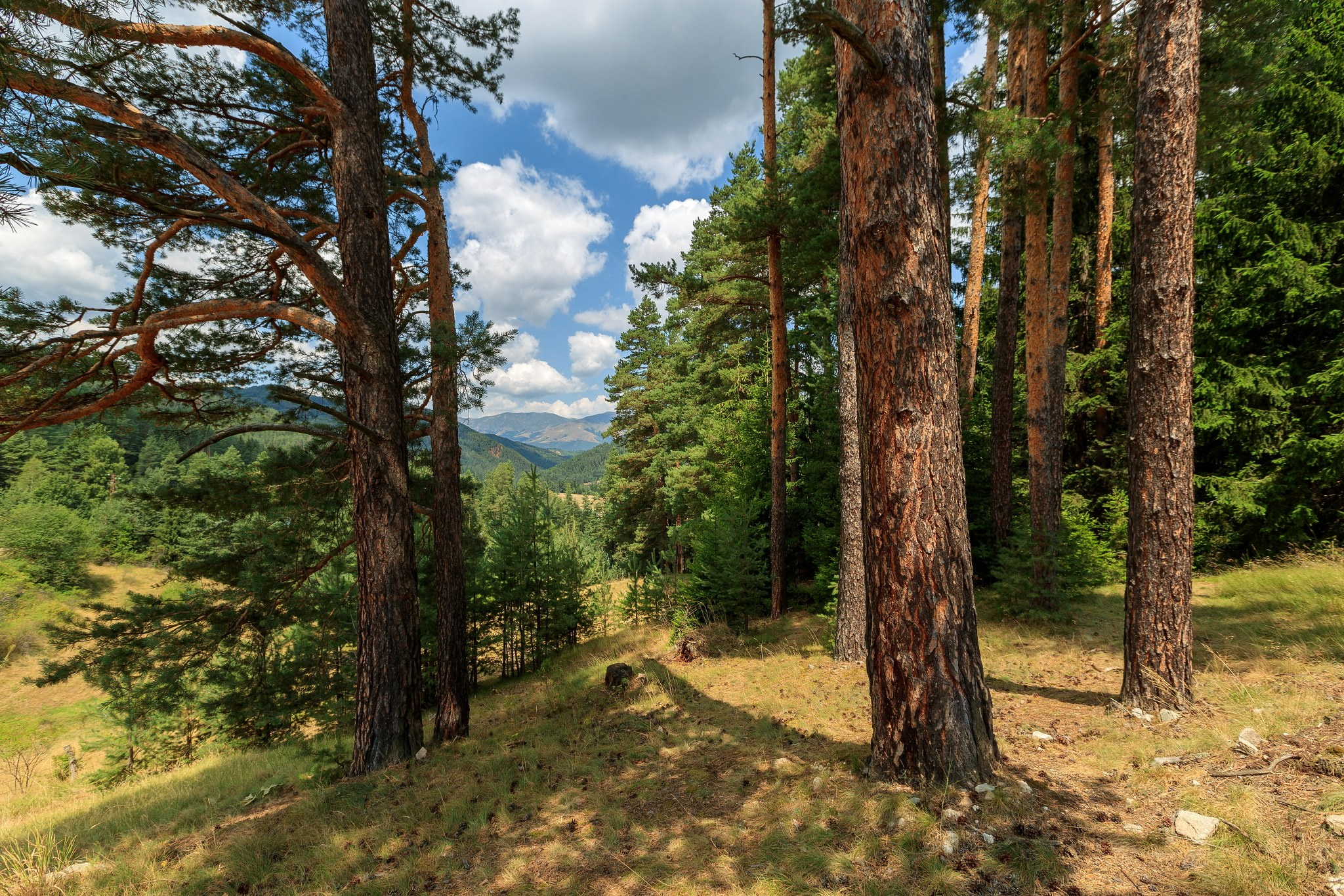 Планини. Александър Сандев - личен сайт на фотографа
