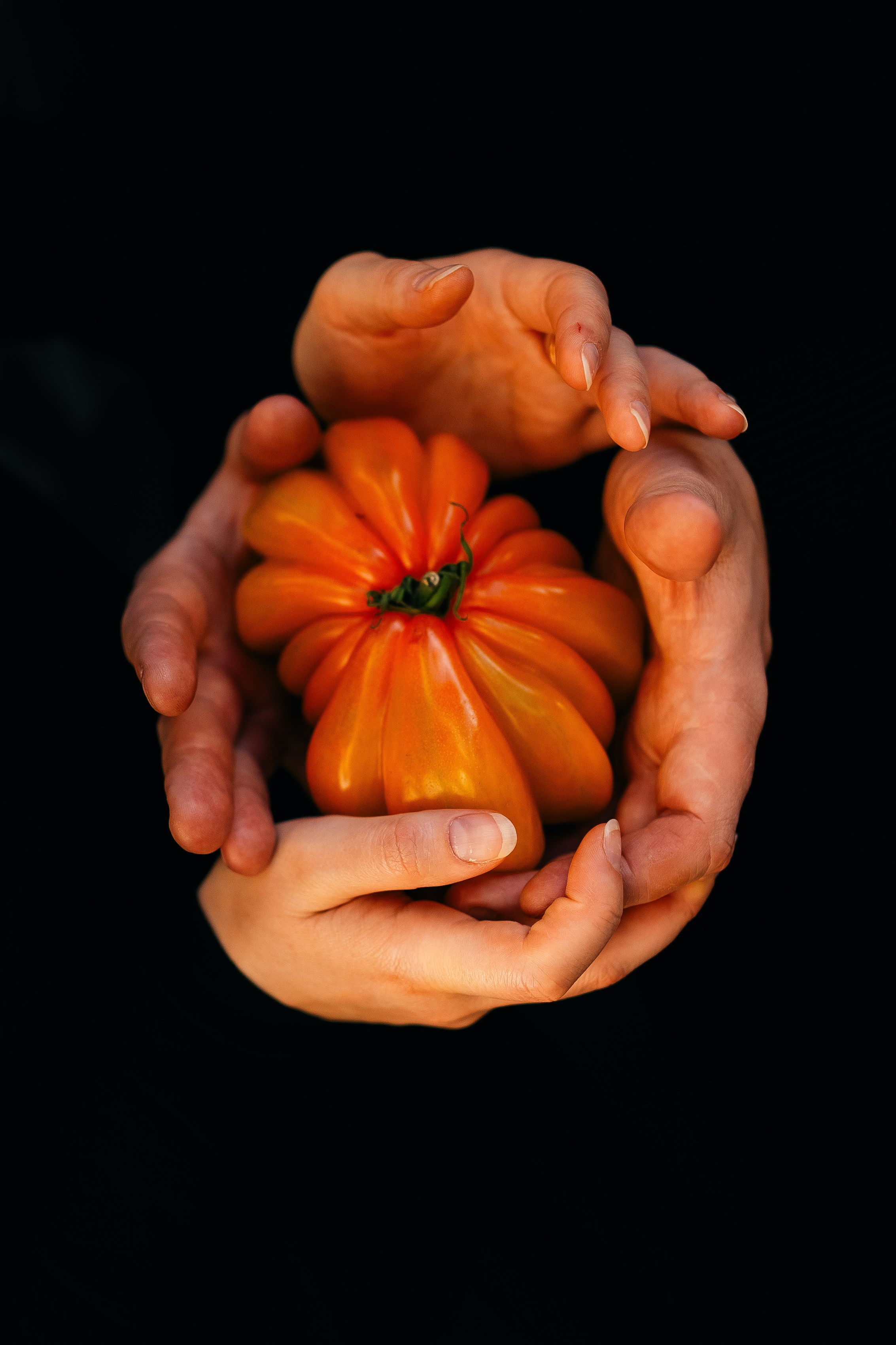 Sanya & Dimon. Maria Sher. Fotógrafa profissional do Porto, Portugal