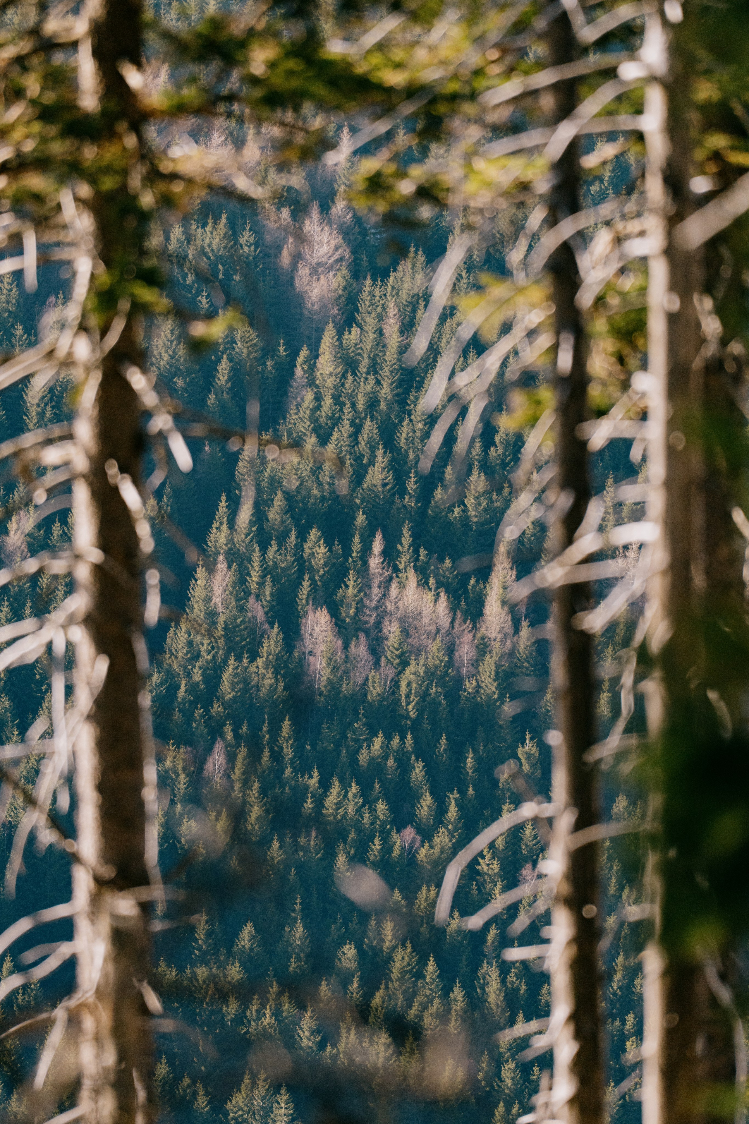 Landscape. Fotograf Poznan