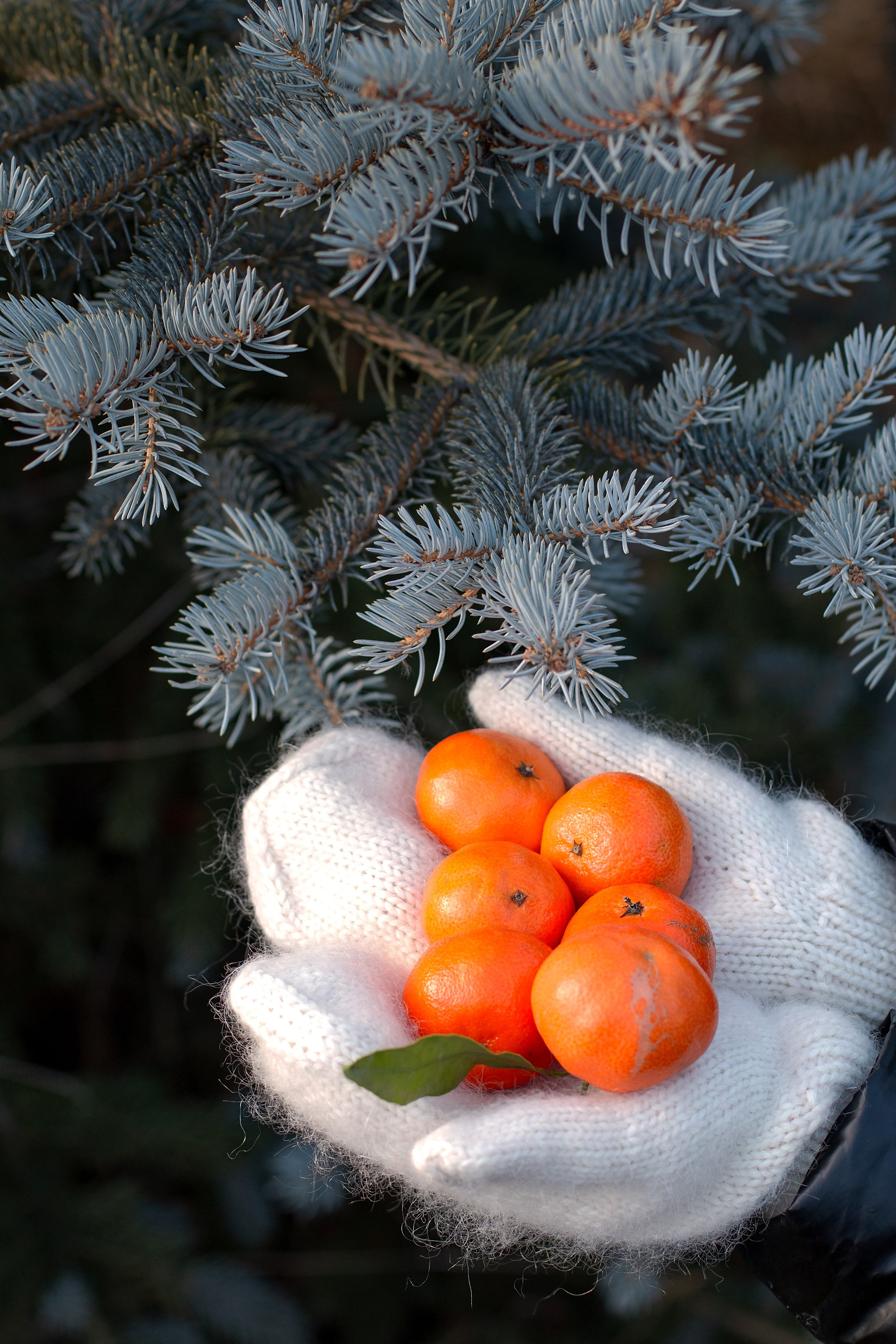Новый год на улице. Детский и семейный фотограф в г. Бельцы
