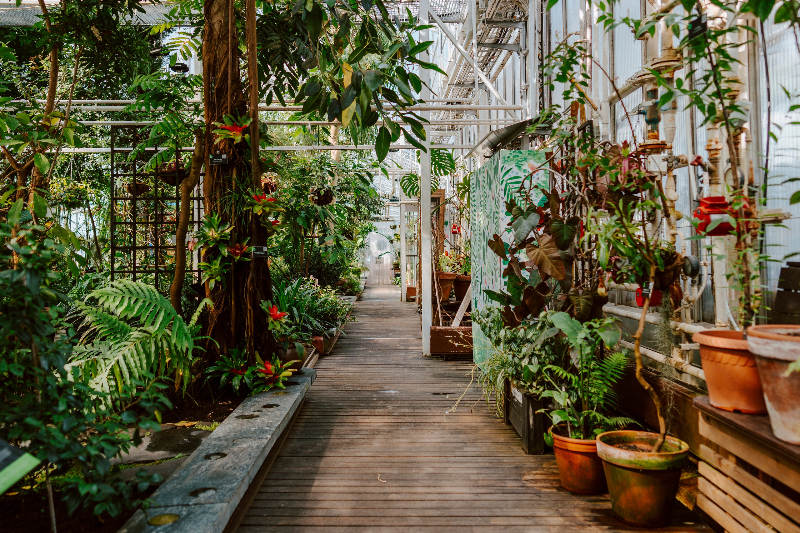 Gallery. Natasha Shakh