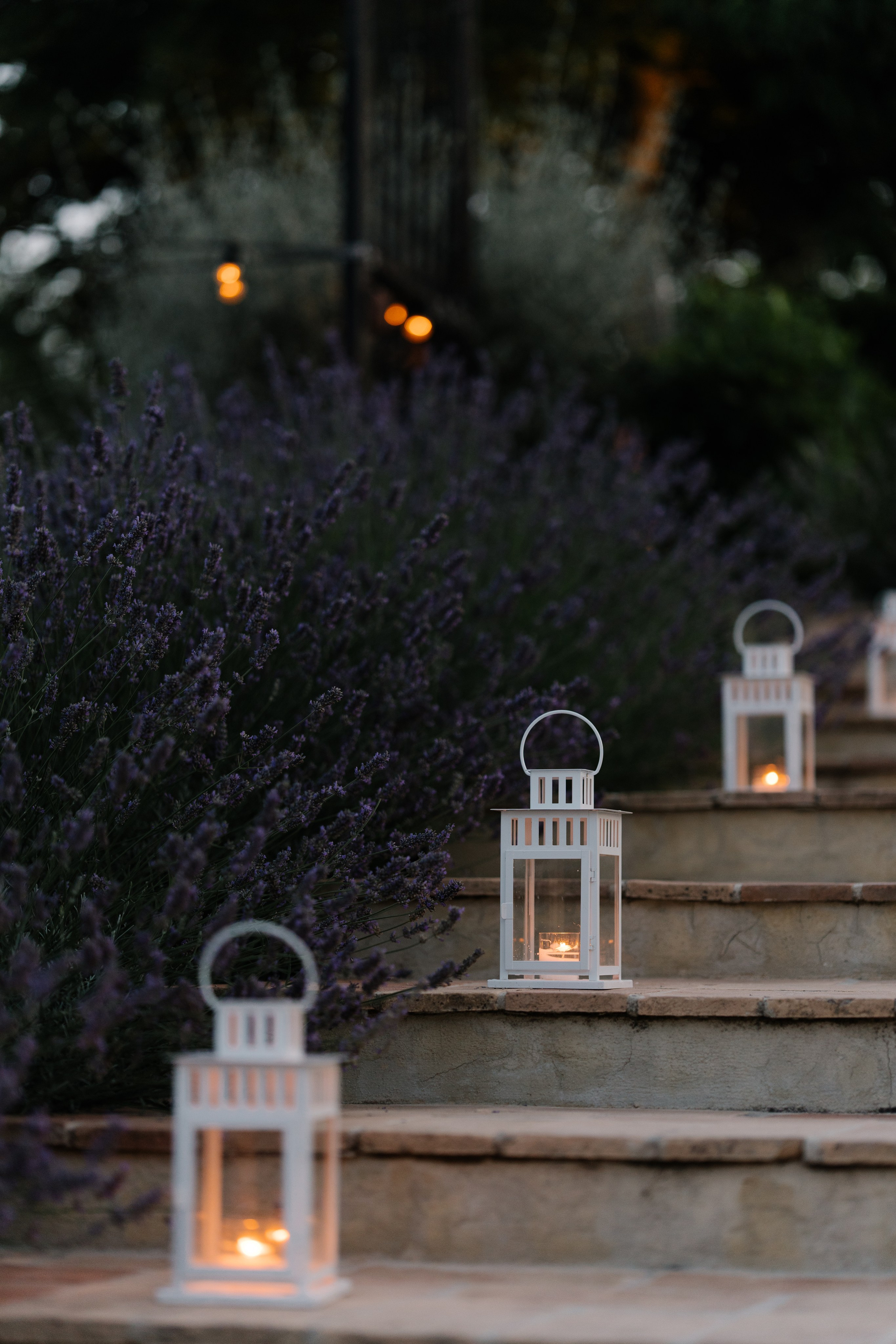 Sofia&Falk. Wedding photographer Italy