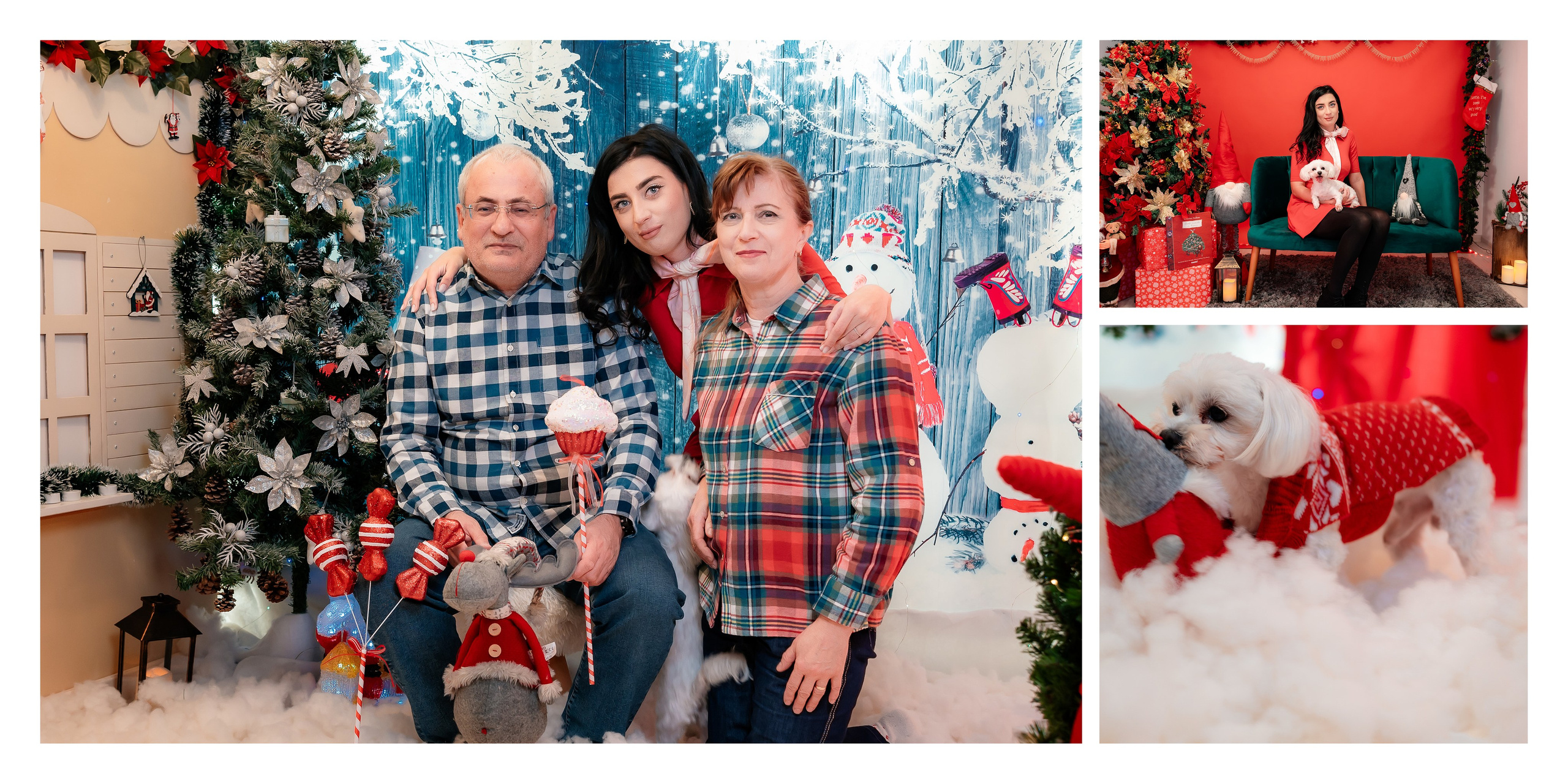 Album Craciun Alexandrina