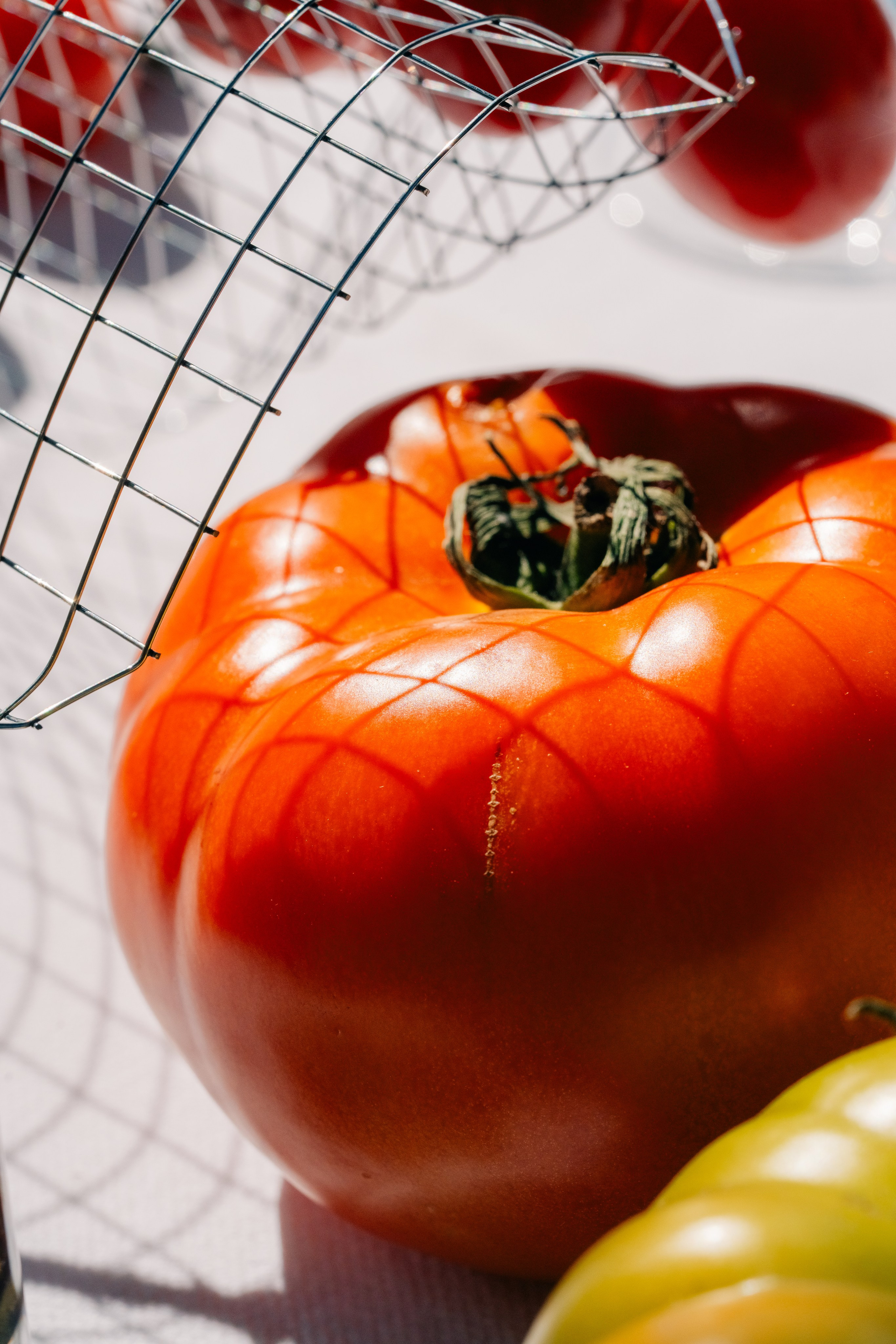 Grande plano de um tomate iluminado pelo sol com padrões de sombra de arame. Grande plano detalhado de um tomate maduro com intrincados padrões de sombra de arame na sua superfície, captado sob luz solar natural.
