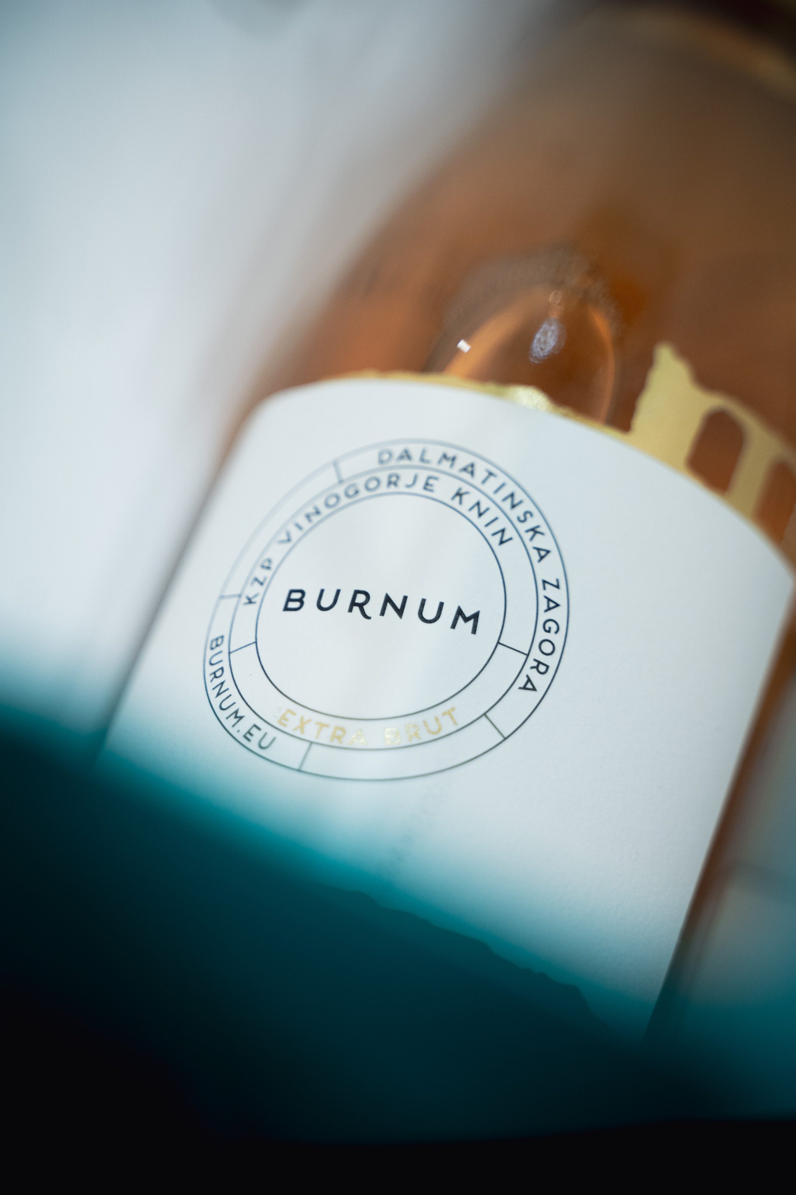 Regena. Жуков Студио