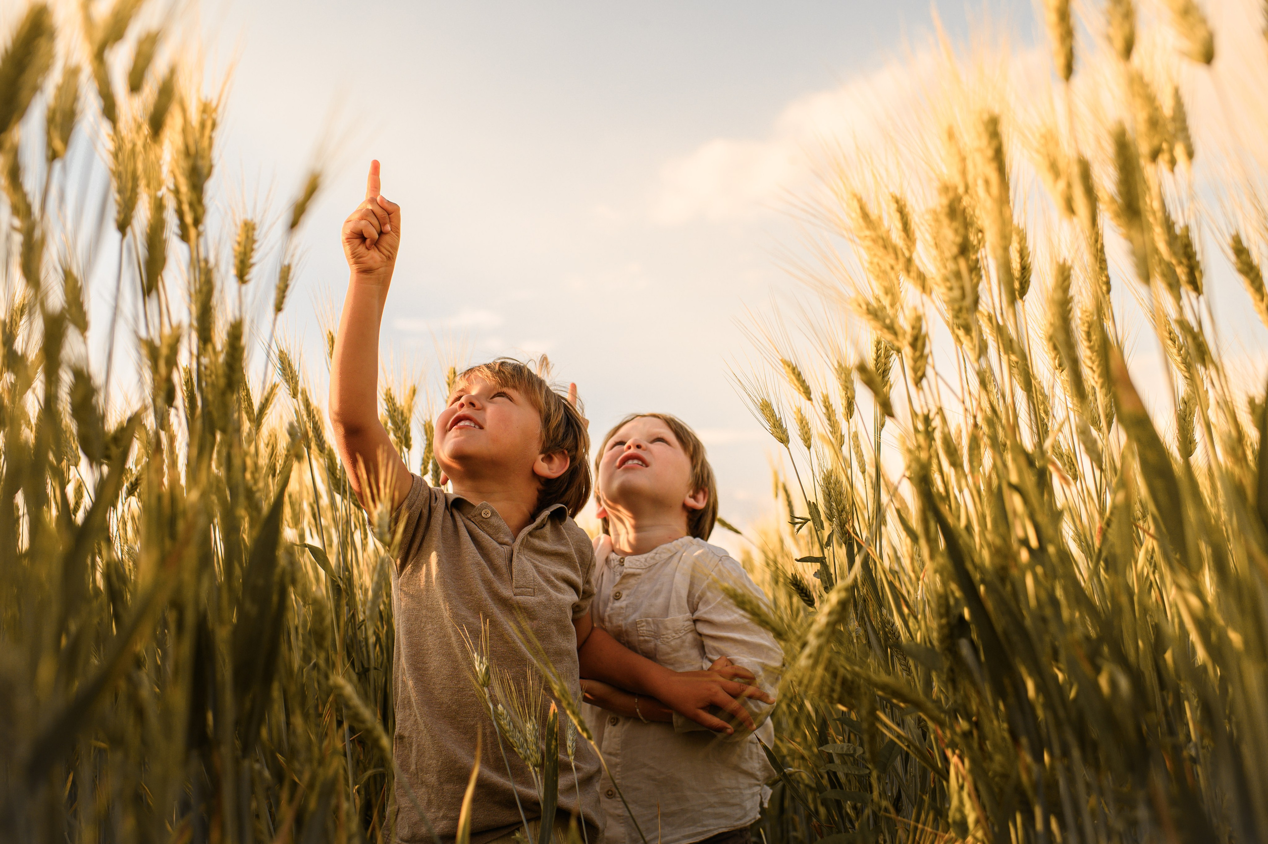 Wheat fields. Family, children, portrait, and event photography in Thessaloniki