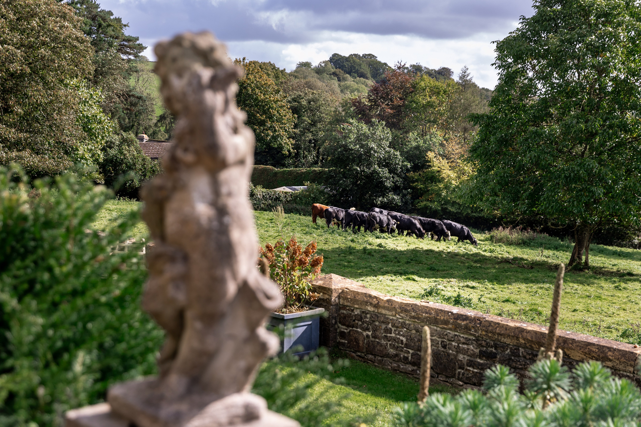 BobFest'23 in 2 days — TRUE LEGEND. September, 2023. Timeless Wedding & Event Photography — based London, working across Europe