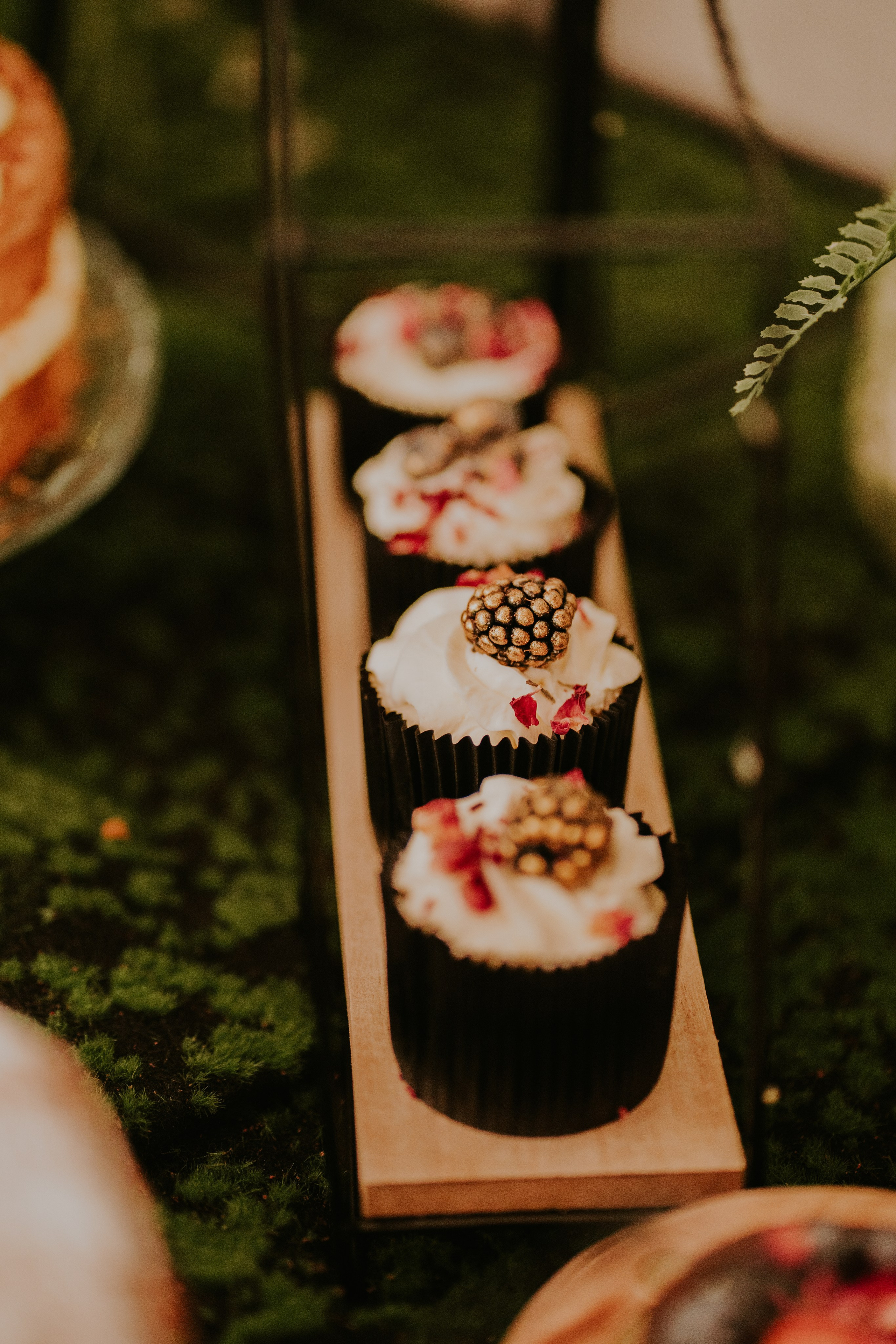 Sala Koralowa w Jaworzu: Opowieść o ślubie Nikoli i Kacpra. Karkowskafoto - fotografia miłości