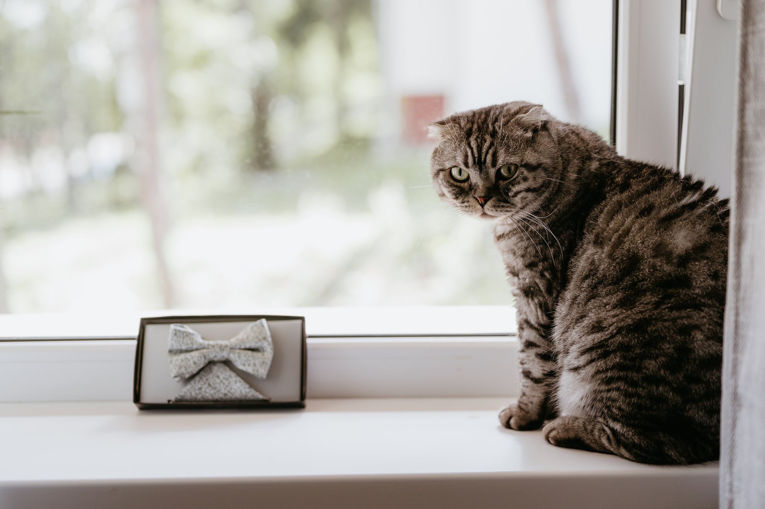 Adina și Ciprian. Valentin Melen - fotograf de nunta 🤍