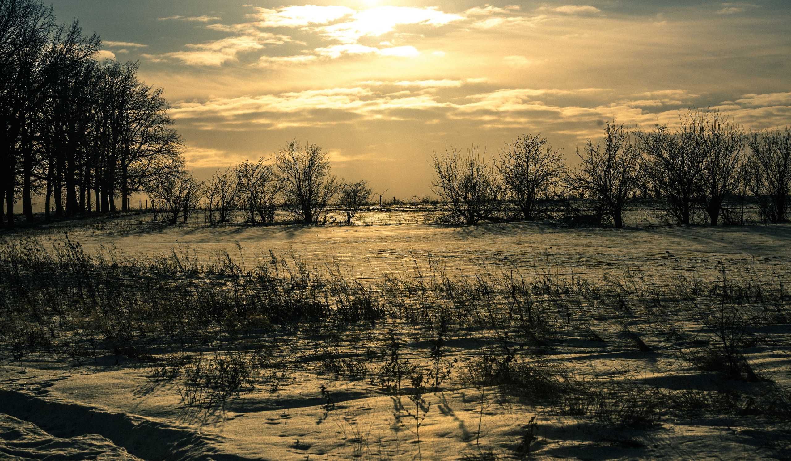 Chisinau. Fotograf de familie Vitalie Budoianu