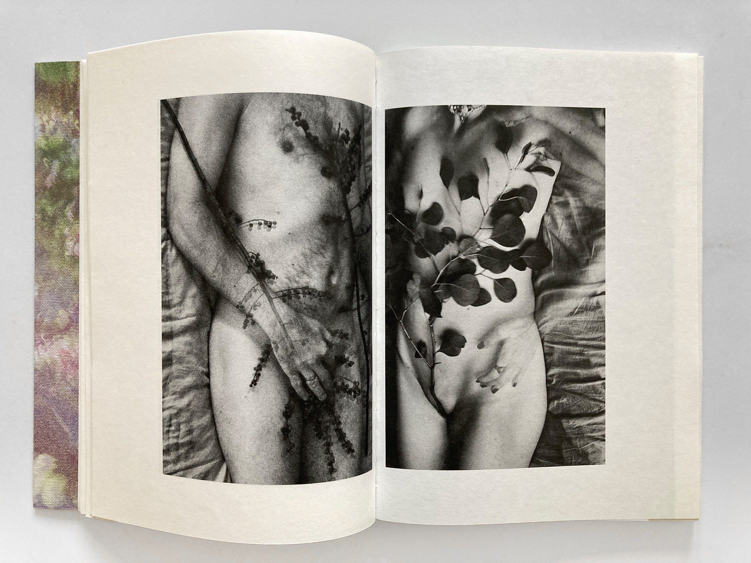 The Garden of Earthly Delights. Sveta Kaverina