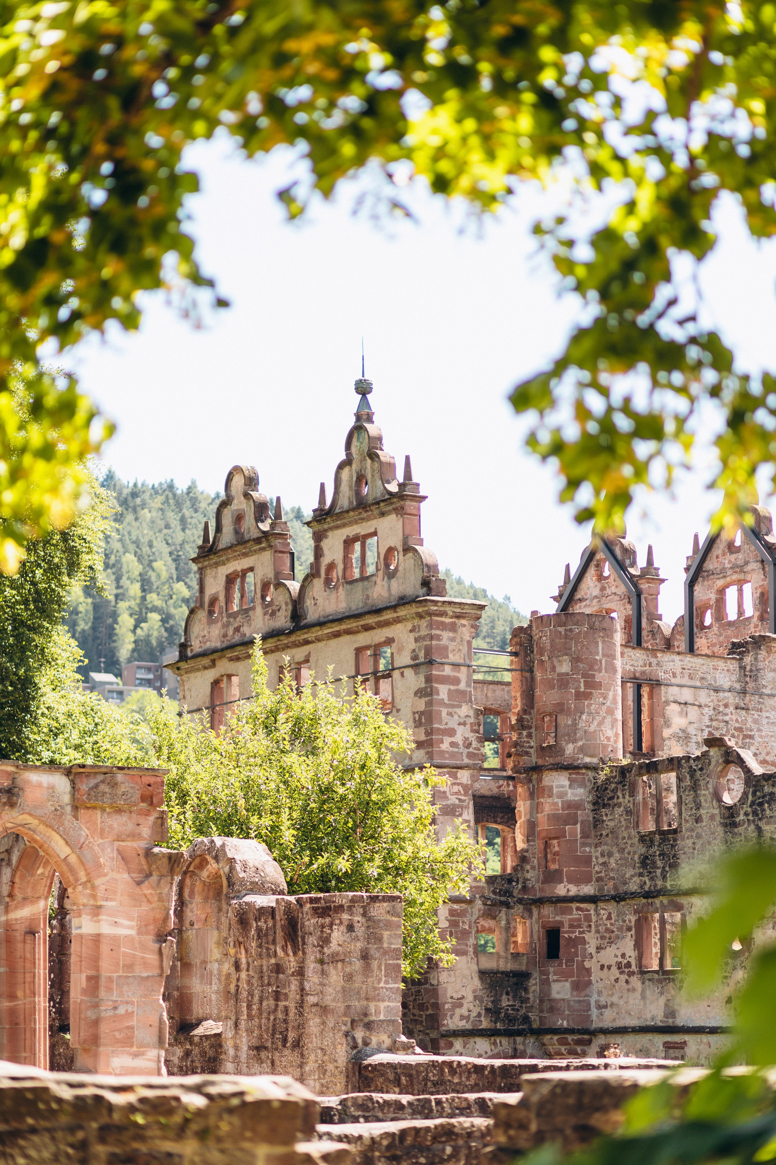 Olga and Familie. Wedding and Family Photograph
