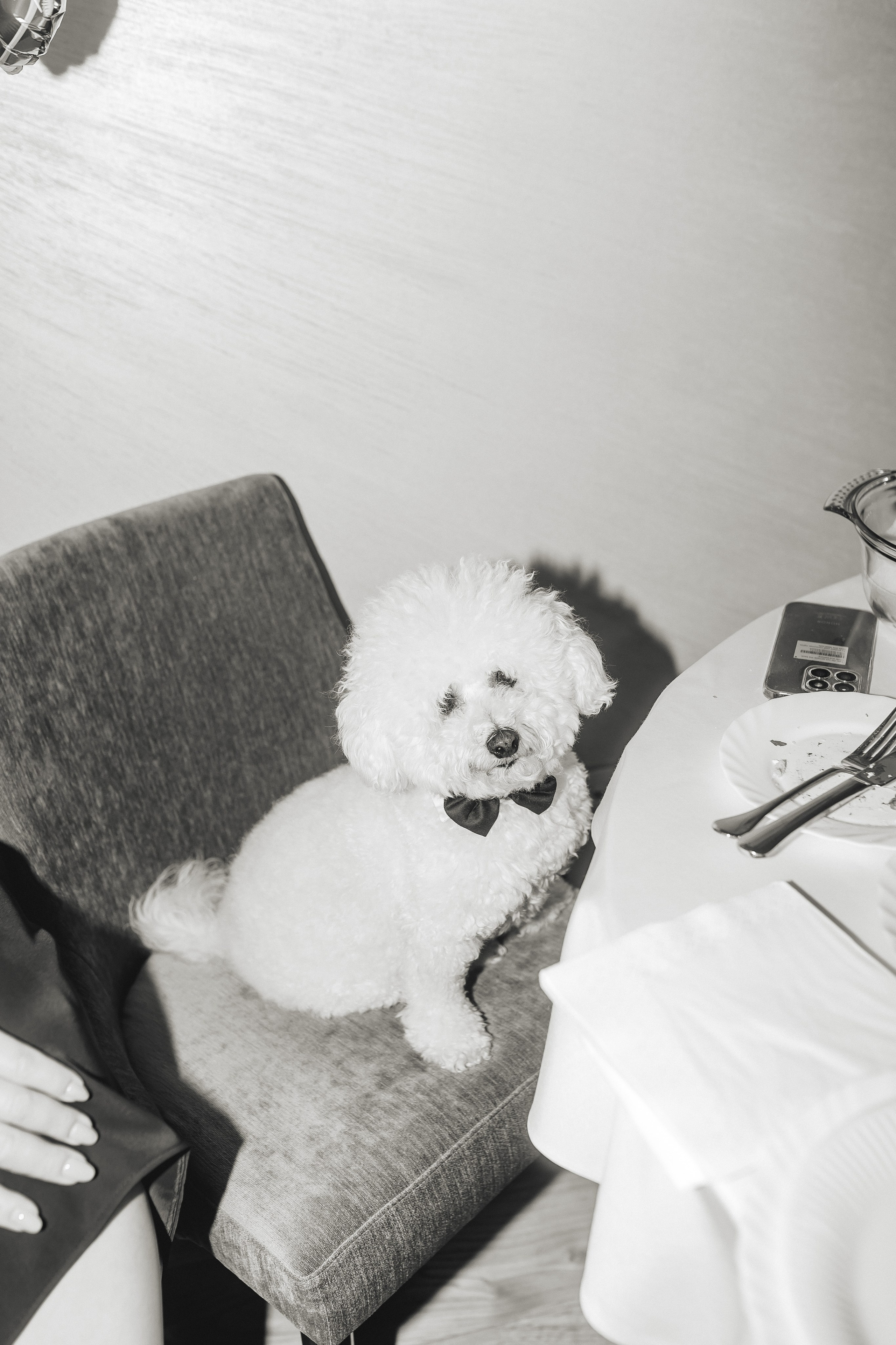 Fotografija. Photo Factory Weddings