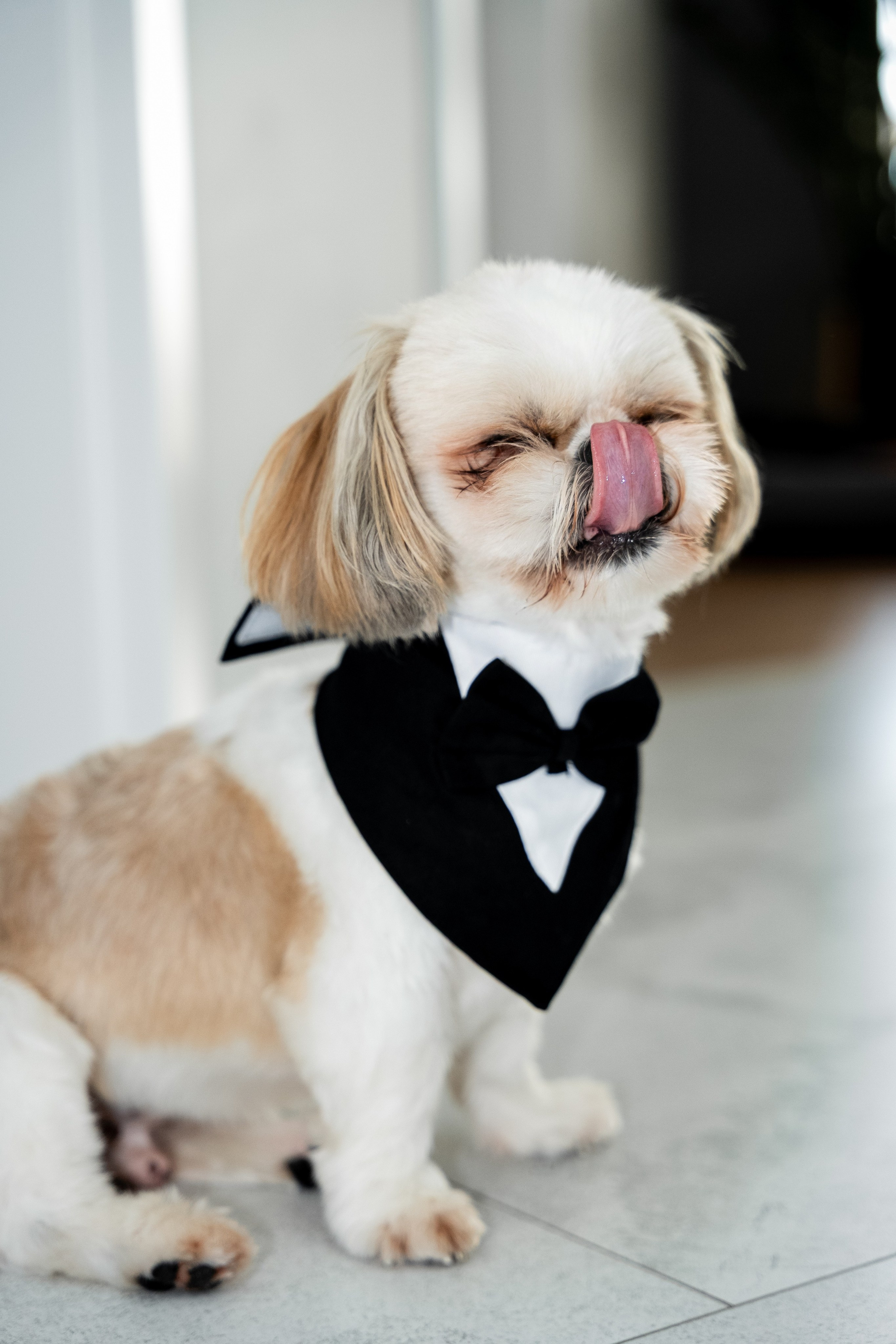 B&S. SL Wedding Photo: ponadczasowa 💍 fotografia ślubna | Wrocław & Europa