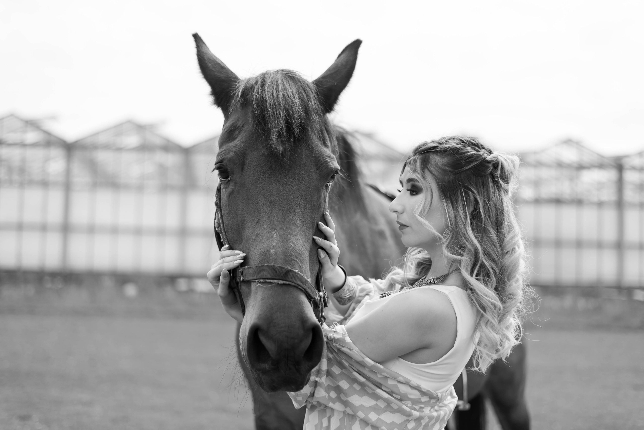 Photoshoot with Horses. Professional Photograher, Antwerpen/Belgium