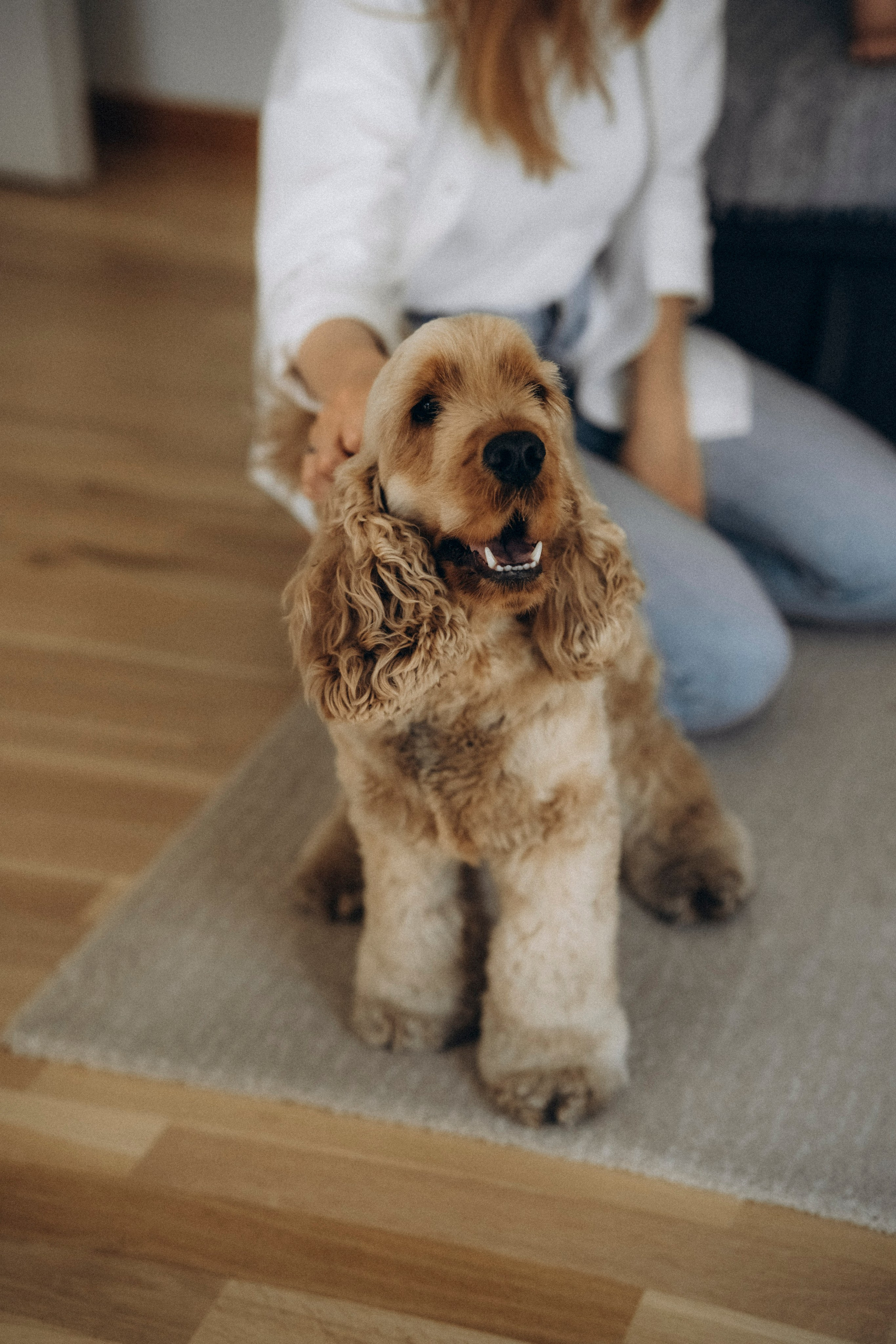 Federico, Dasha, Vera & Yura. Фотографы Минск и мир