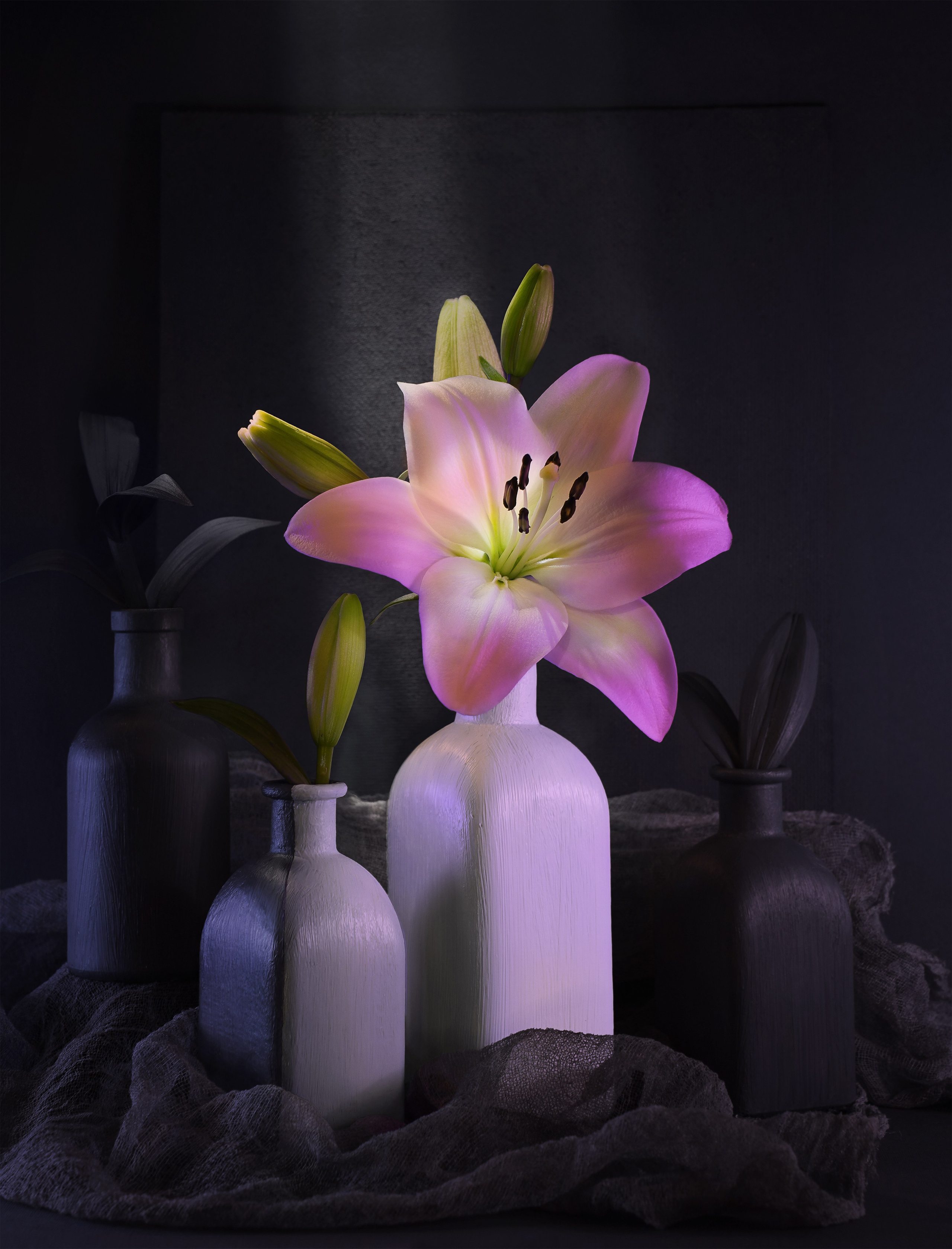 Предметная фотография. Коммерческий фотограф в Молдове Курилова Диана