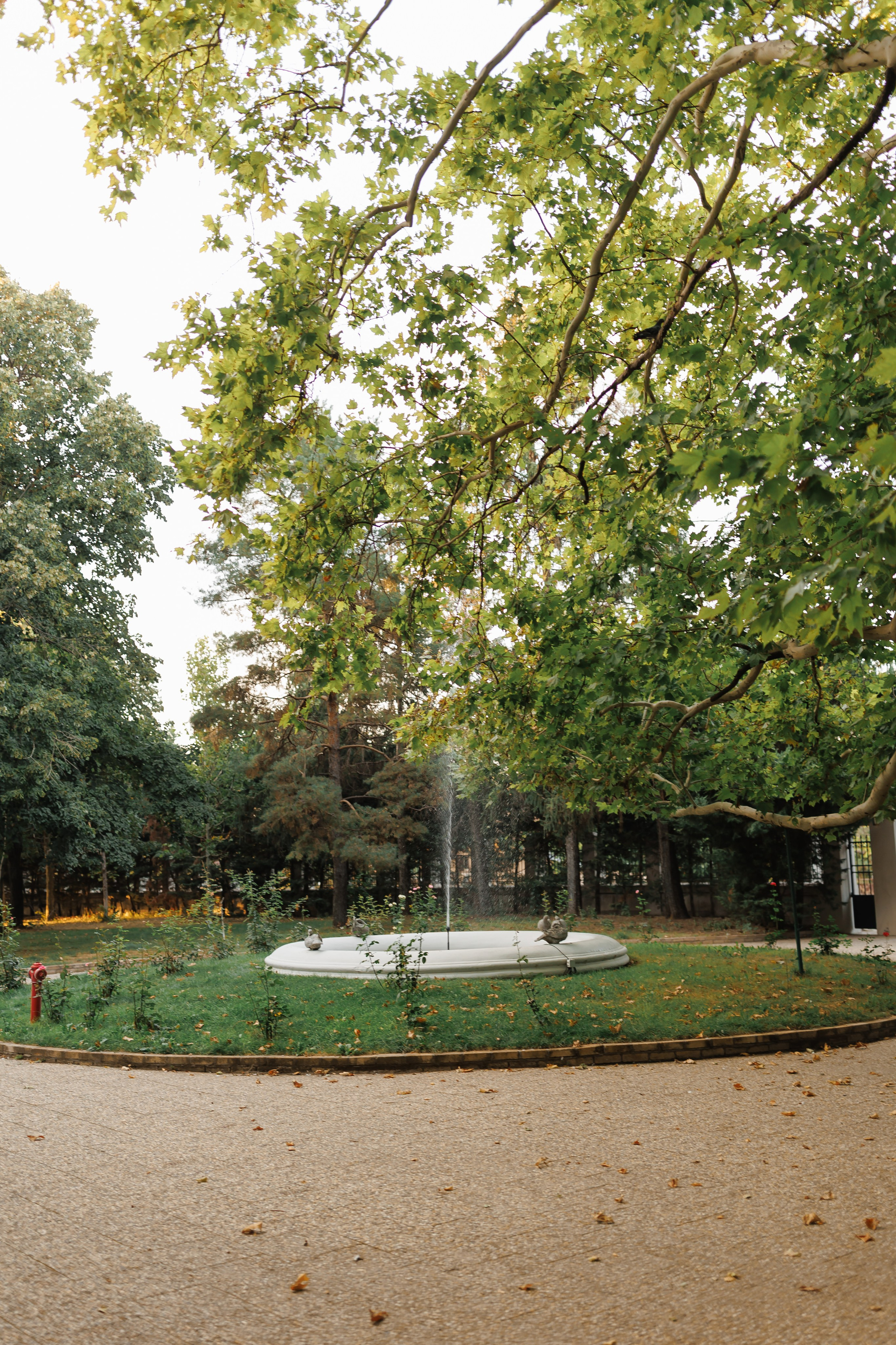 After Wedding Bianca + Nicu | Trash the dress Bucuresti | Domeniul Manasia. Fotograf nunta Bucuresti - Manu Ivanciu