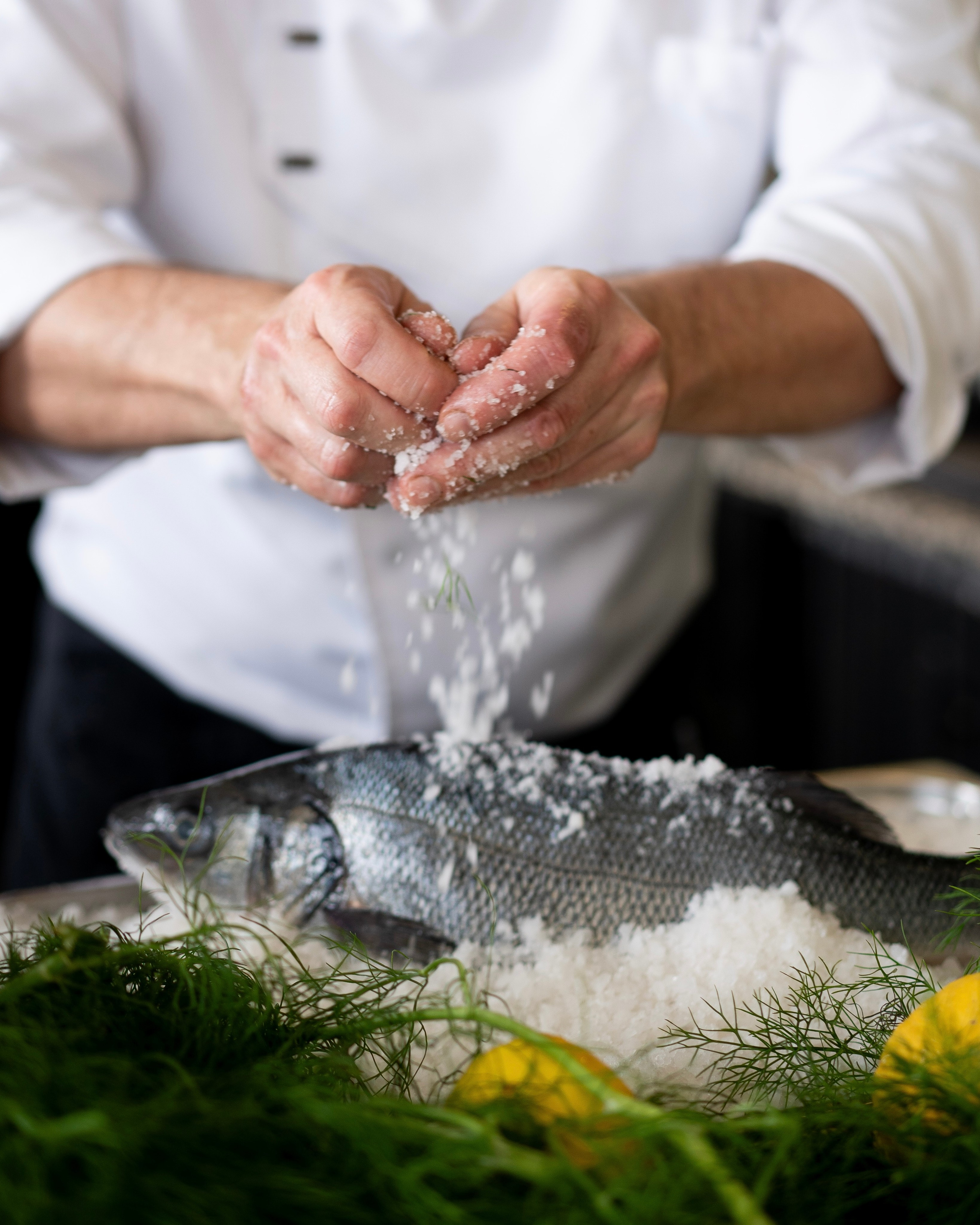 Restaurant Marbella costa del sol restaurante. Photo and video service in Malaga-Marbella-Estepona