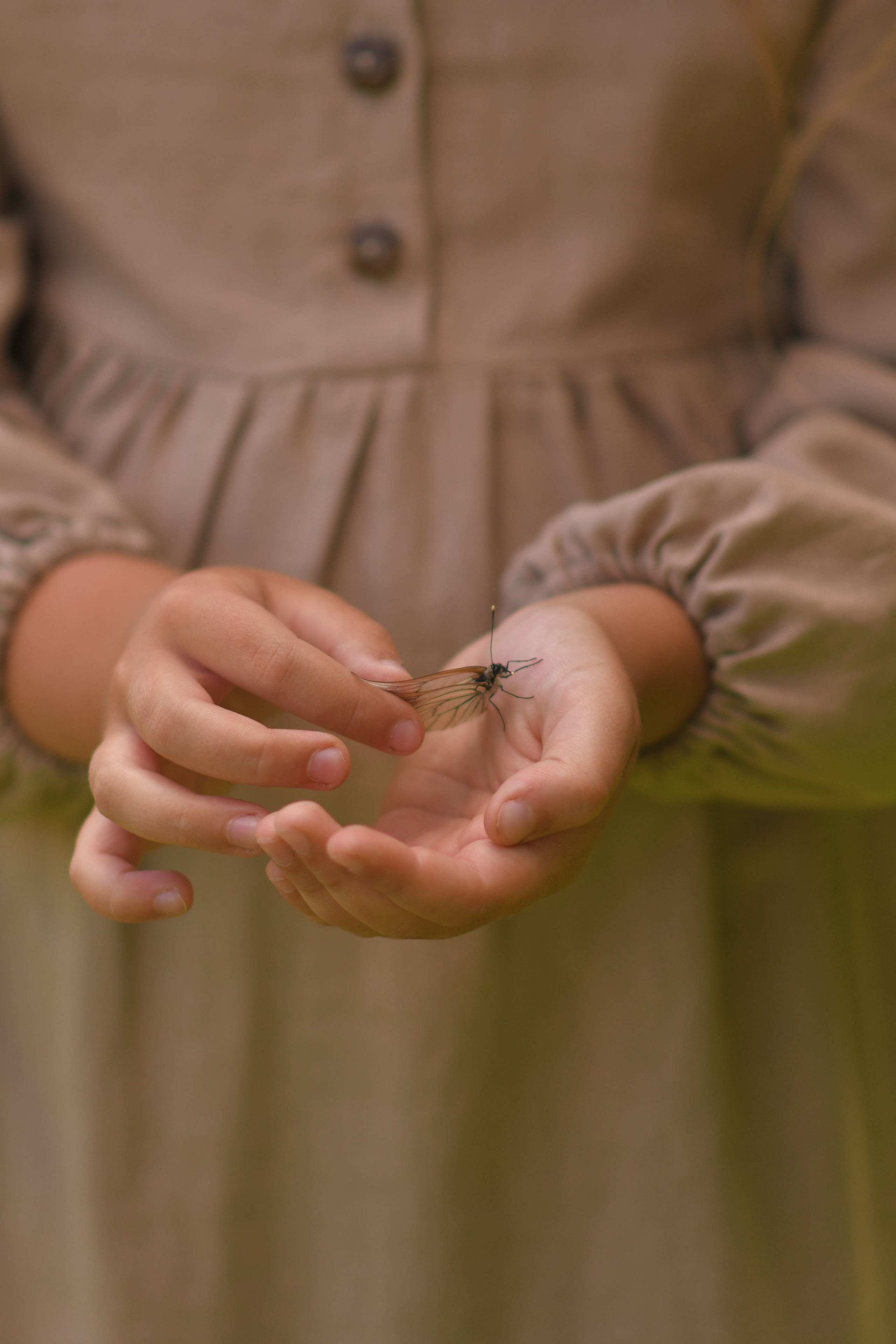 Семейный и детский фотограф