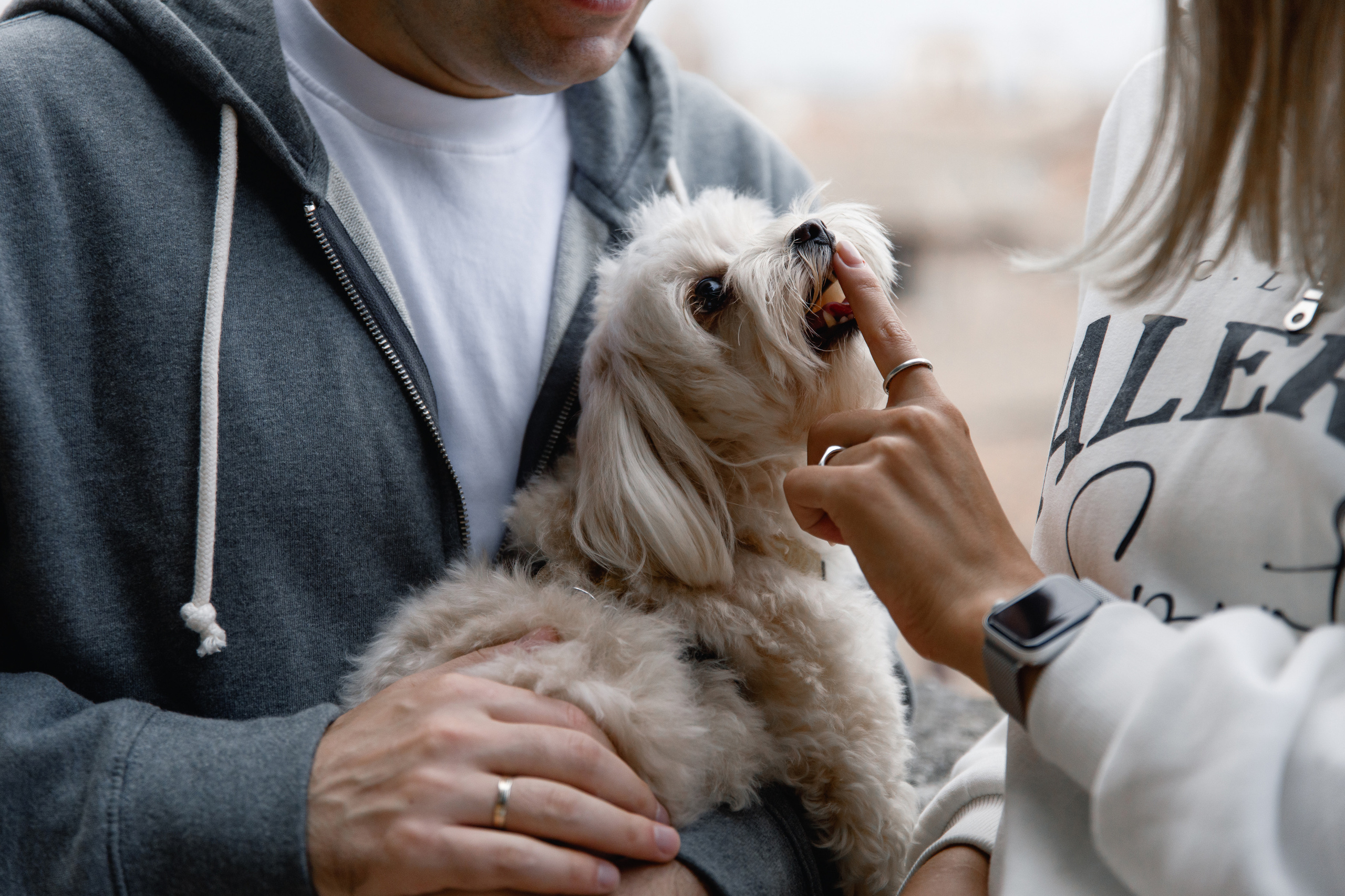 Wedding photographer Italy Rome, Tuscany, Lake Como, Sicily, Puglia. Wedding Photographer Rome Tuscany Como Sicily Puglia Amalfy Italy- Oksana Savenchuk