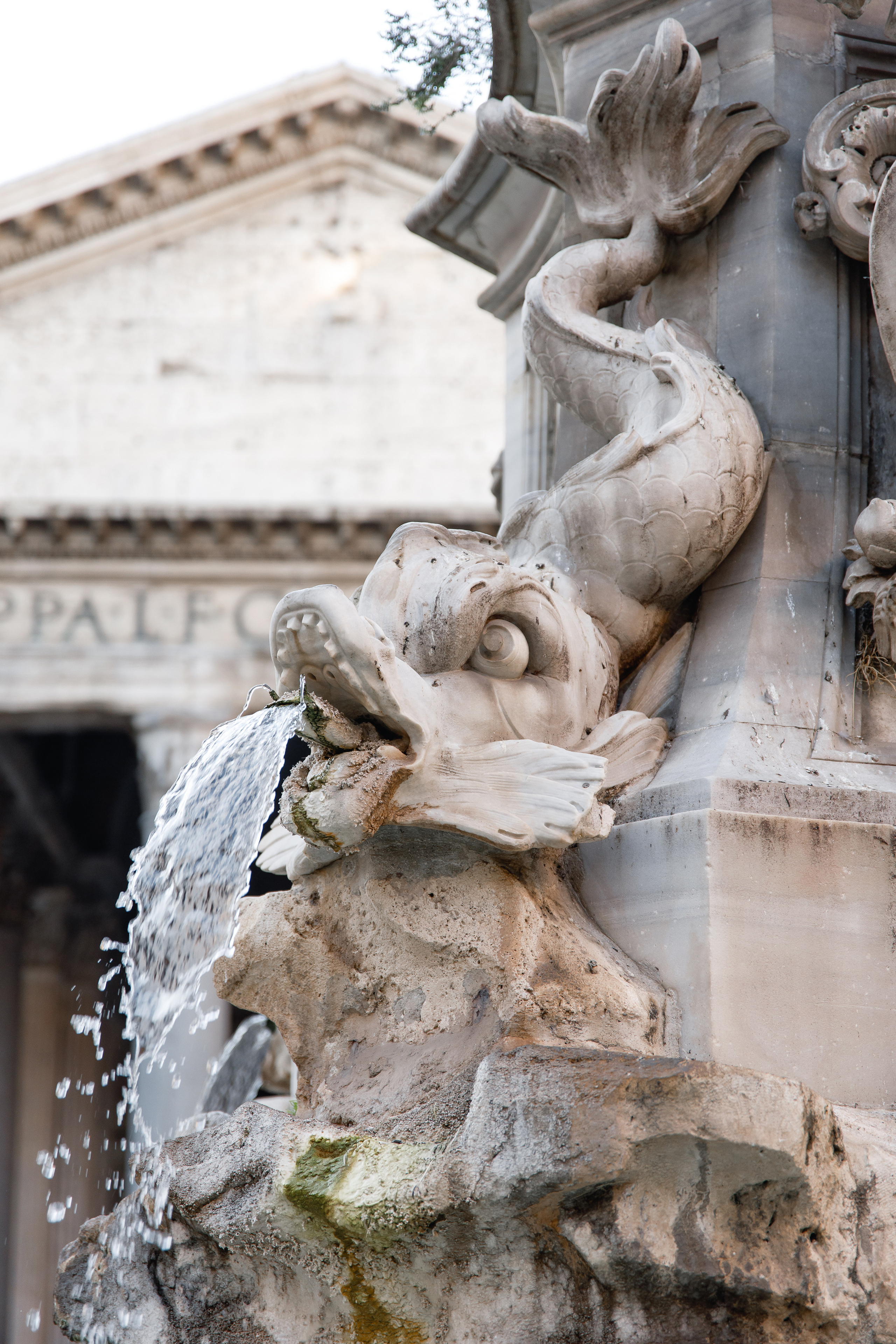 Wedding photographer in Rome. Wedding Photographer Rome Tuscany Como Sicily Puglia Amalfy Italy- Oksana Savenchuk