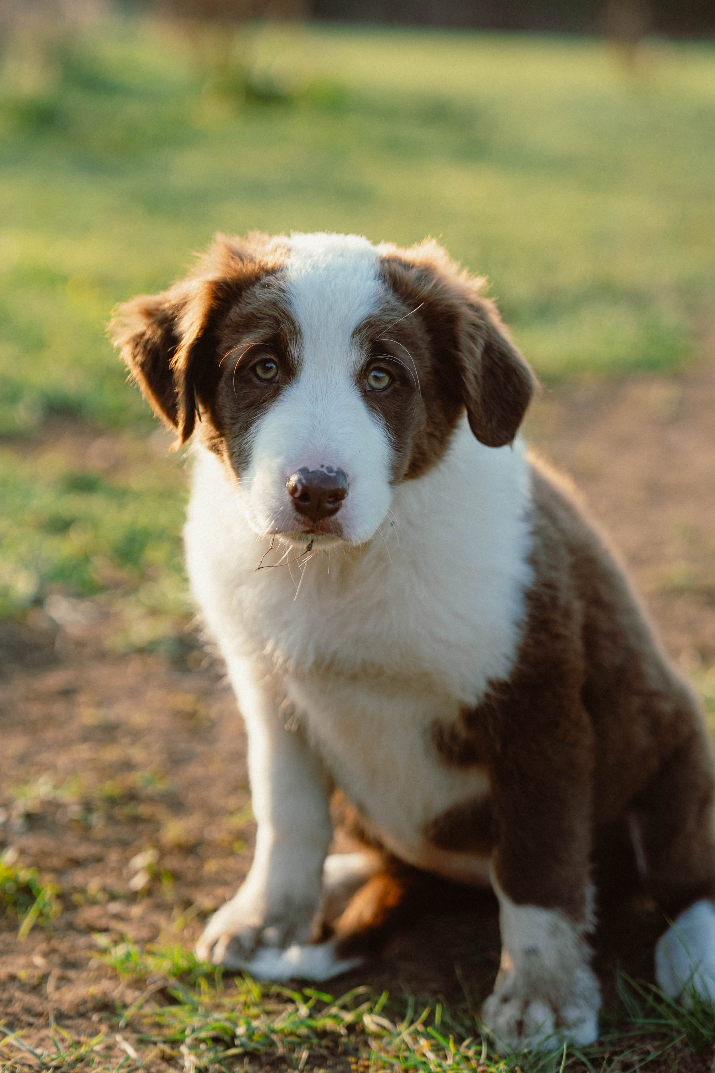 Victoria & Mehdi. Weeding photographer / event / portrait